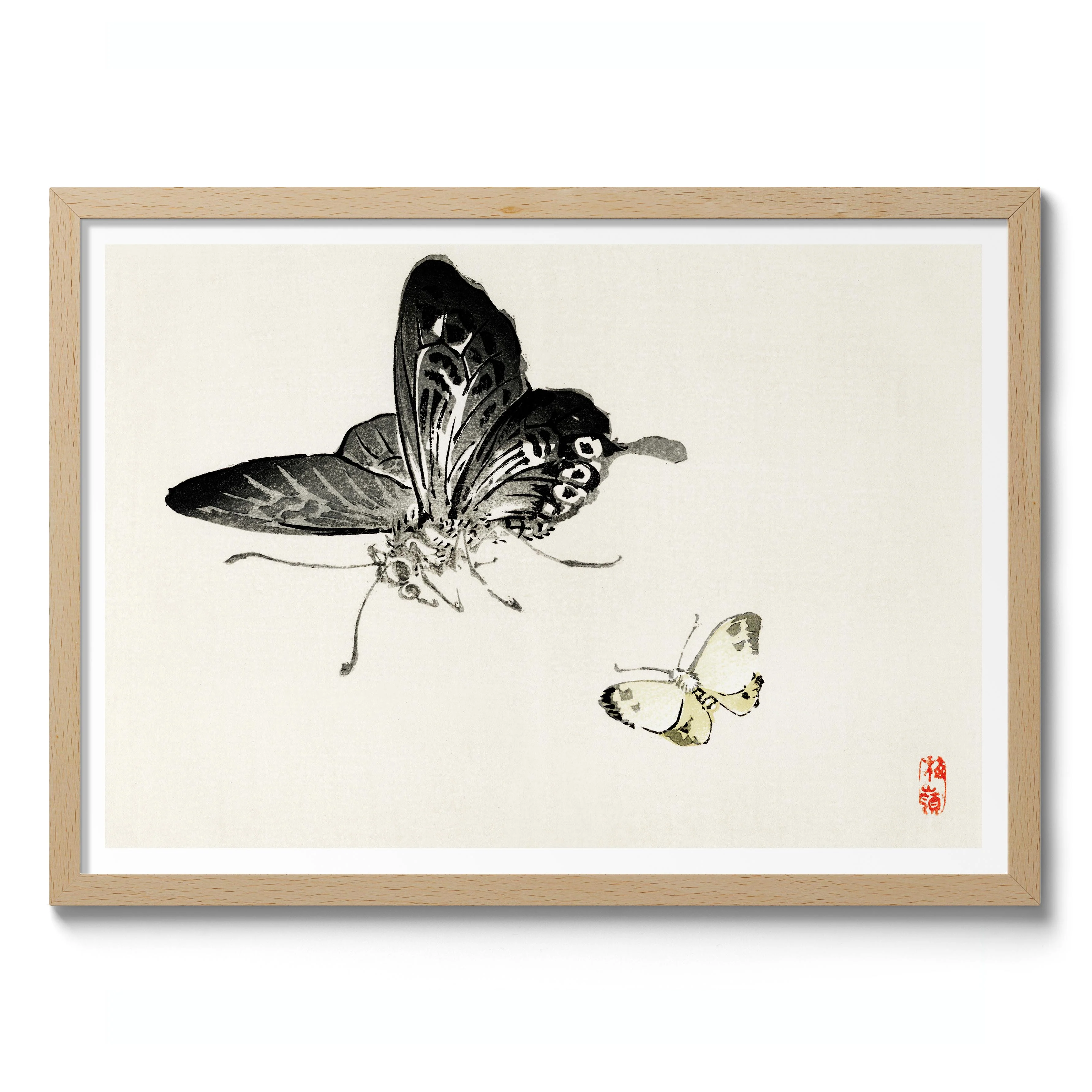 Butterflies - Image 3
