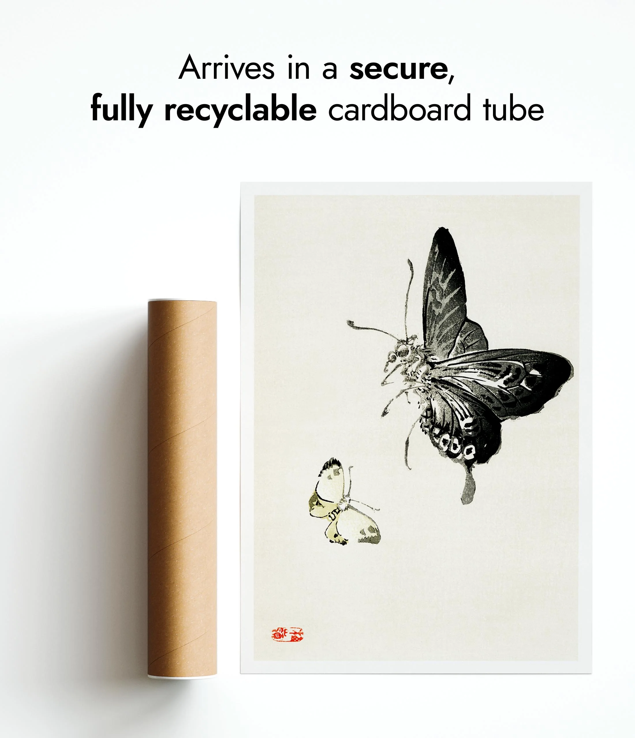 Butterflies - Image 9