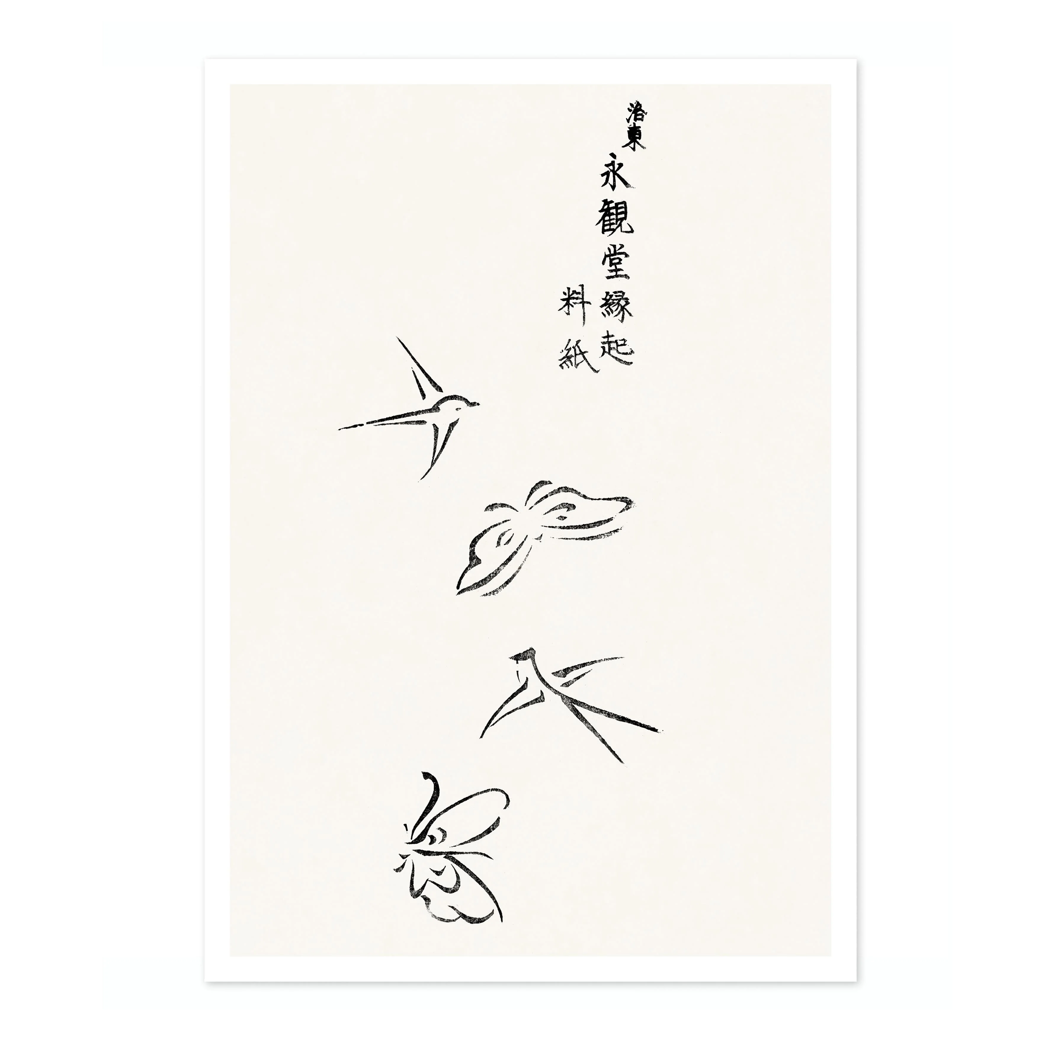 Butterflies & Birds - Image 4