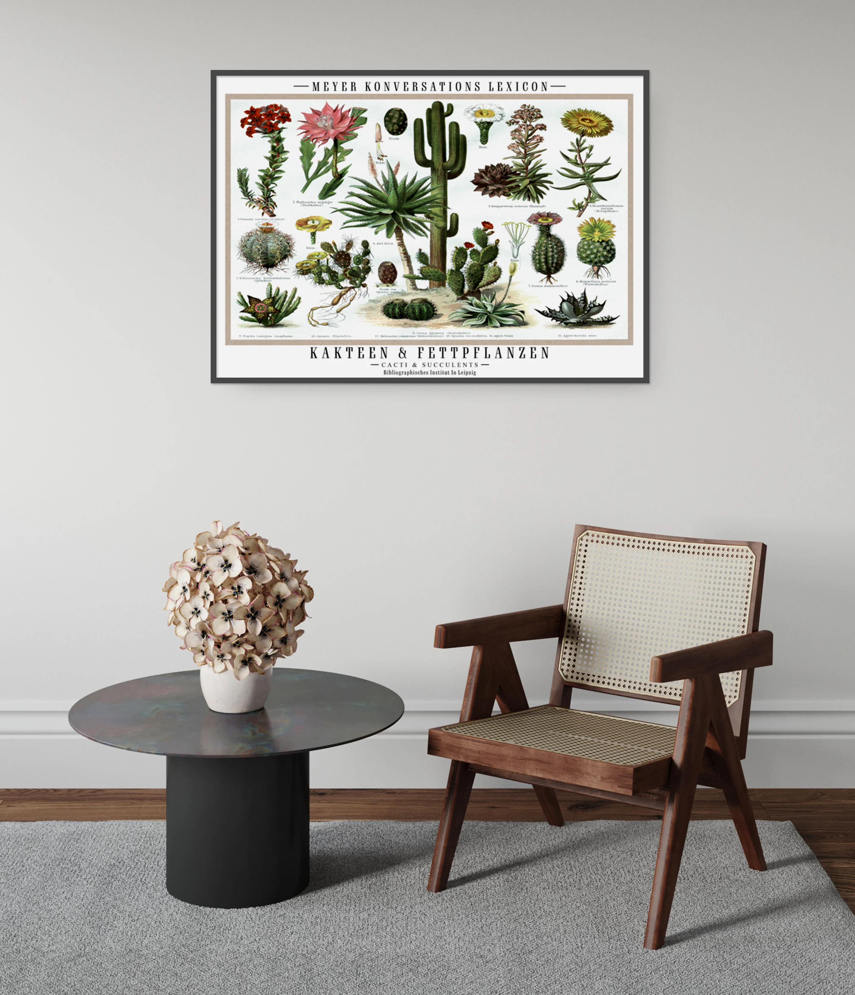 Cacti & Succulents - Image 5
