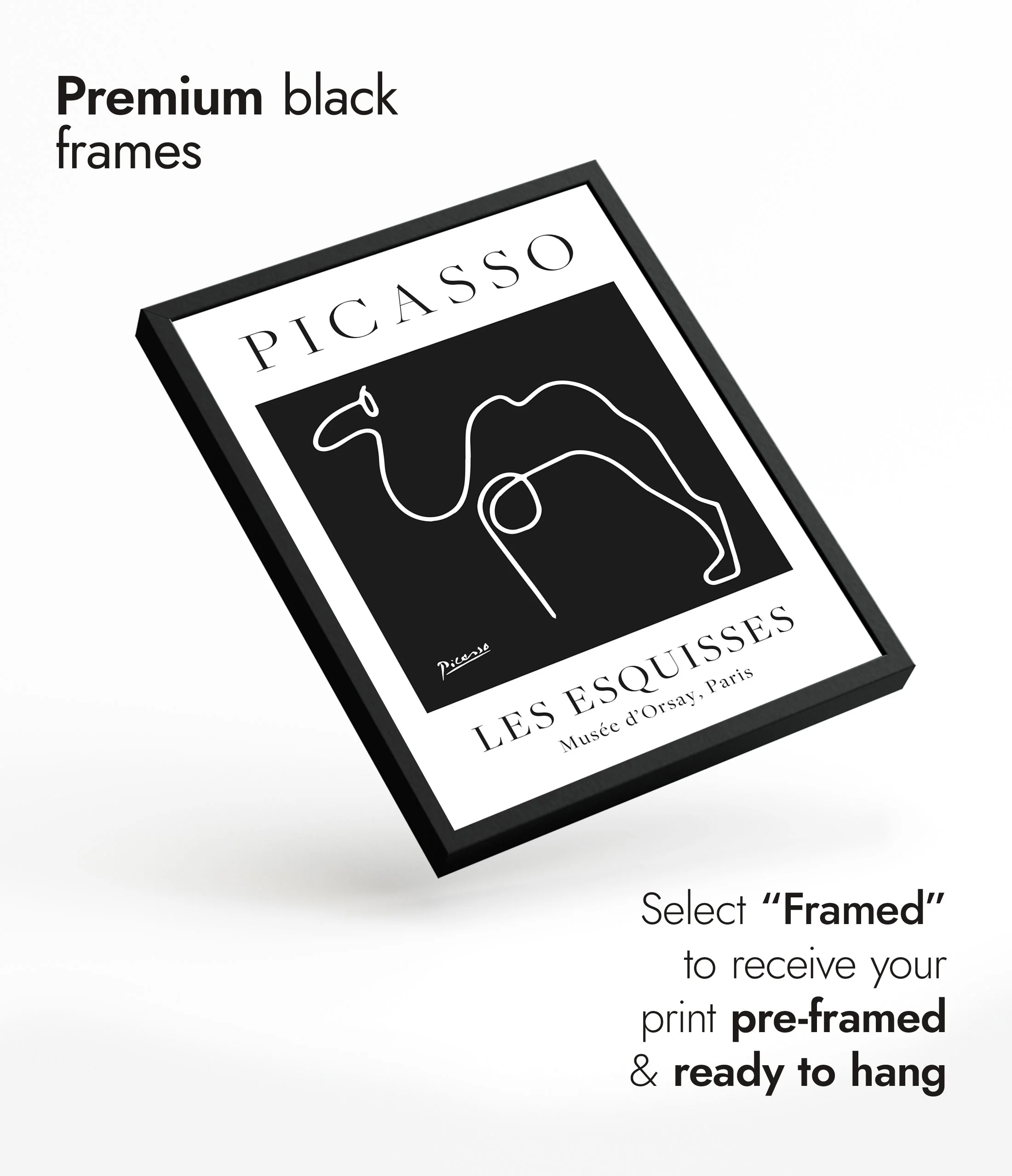 Black Camel - Image 7