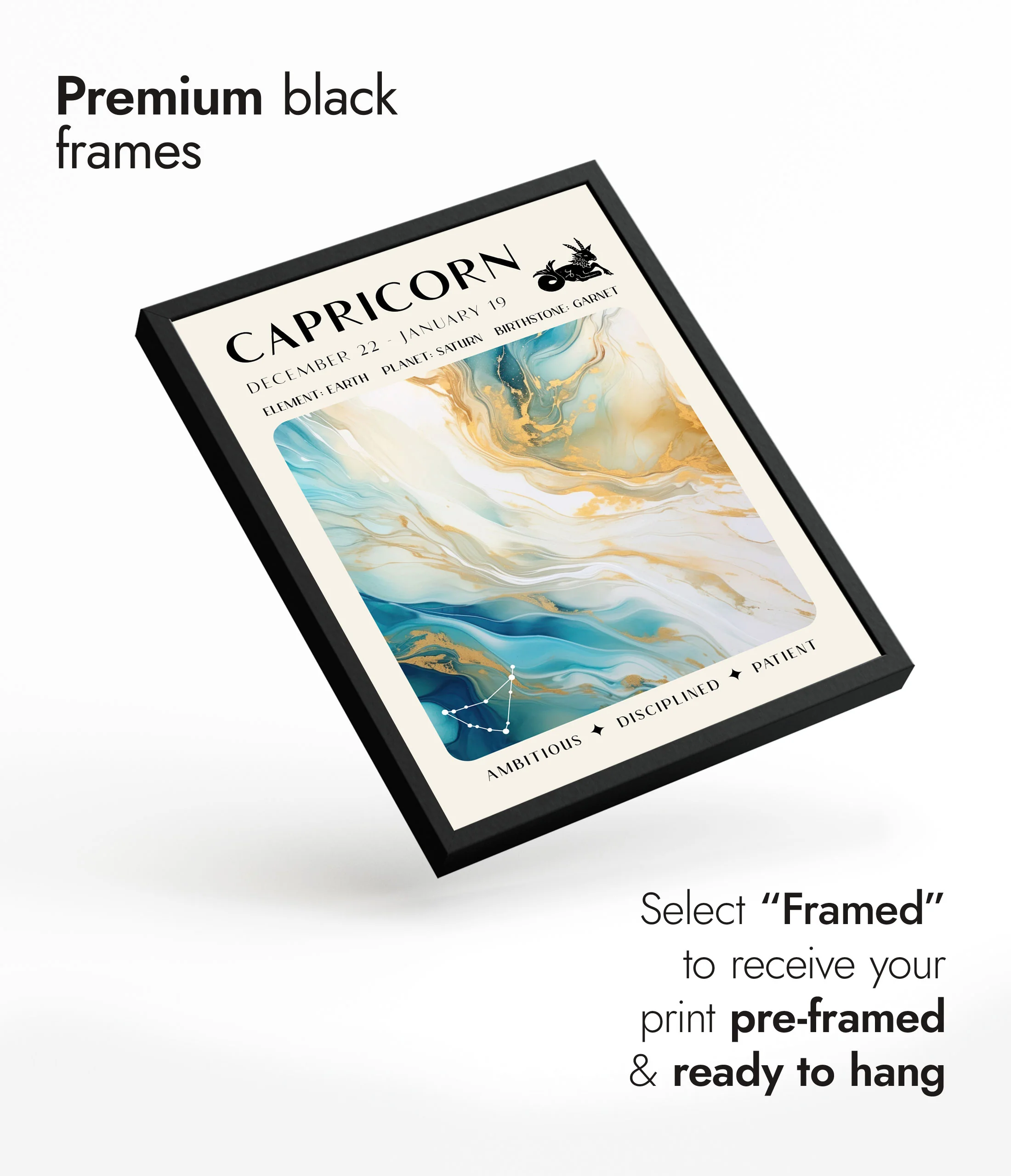 Capricorn - Image 7