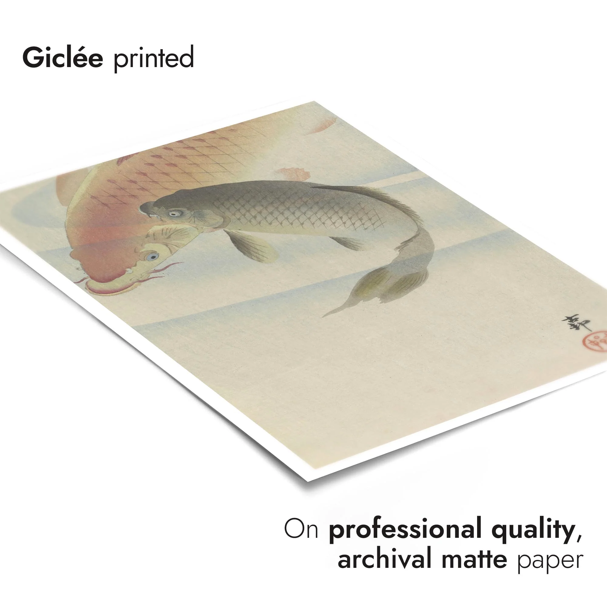 Carp - Image 6