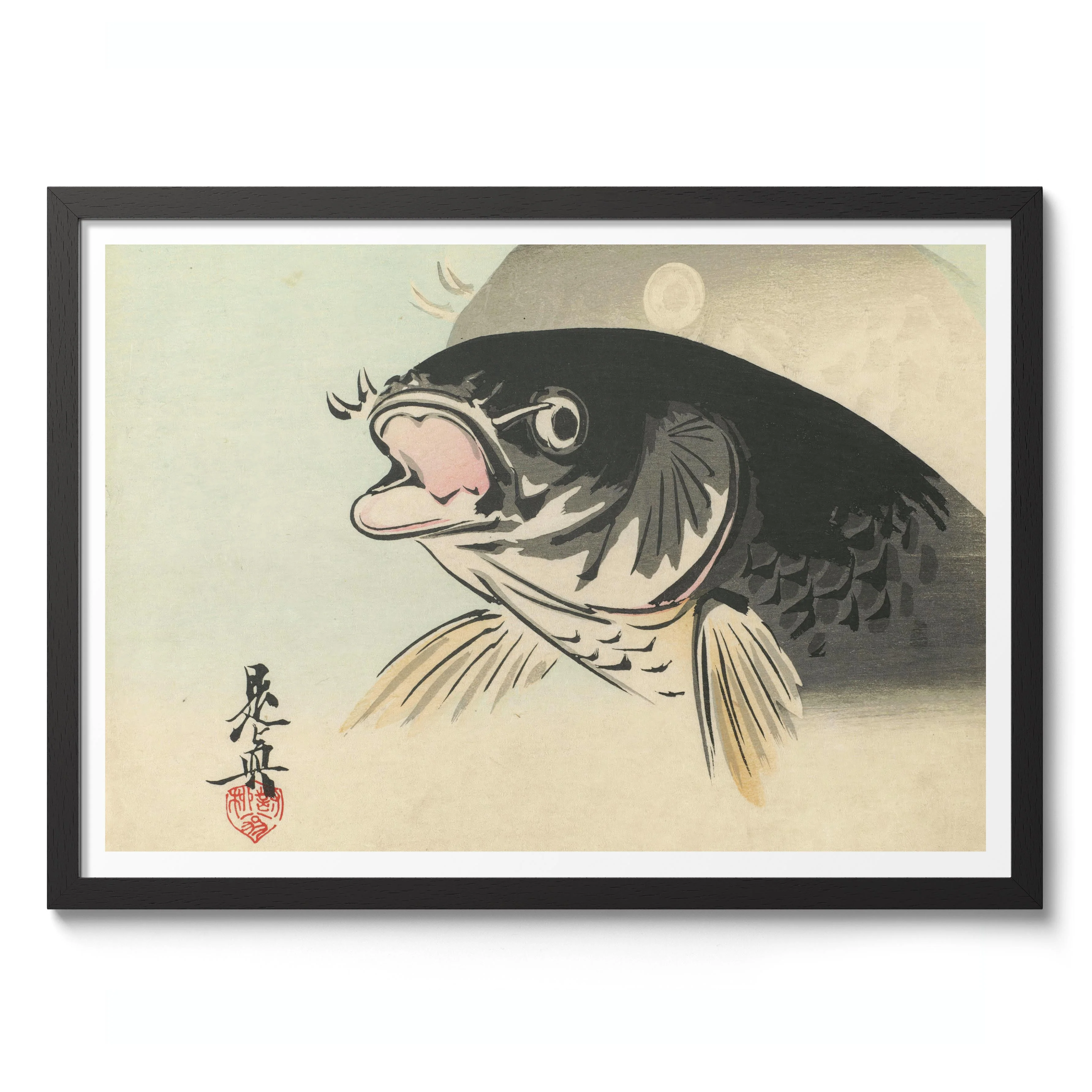 Carp - Image 2