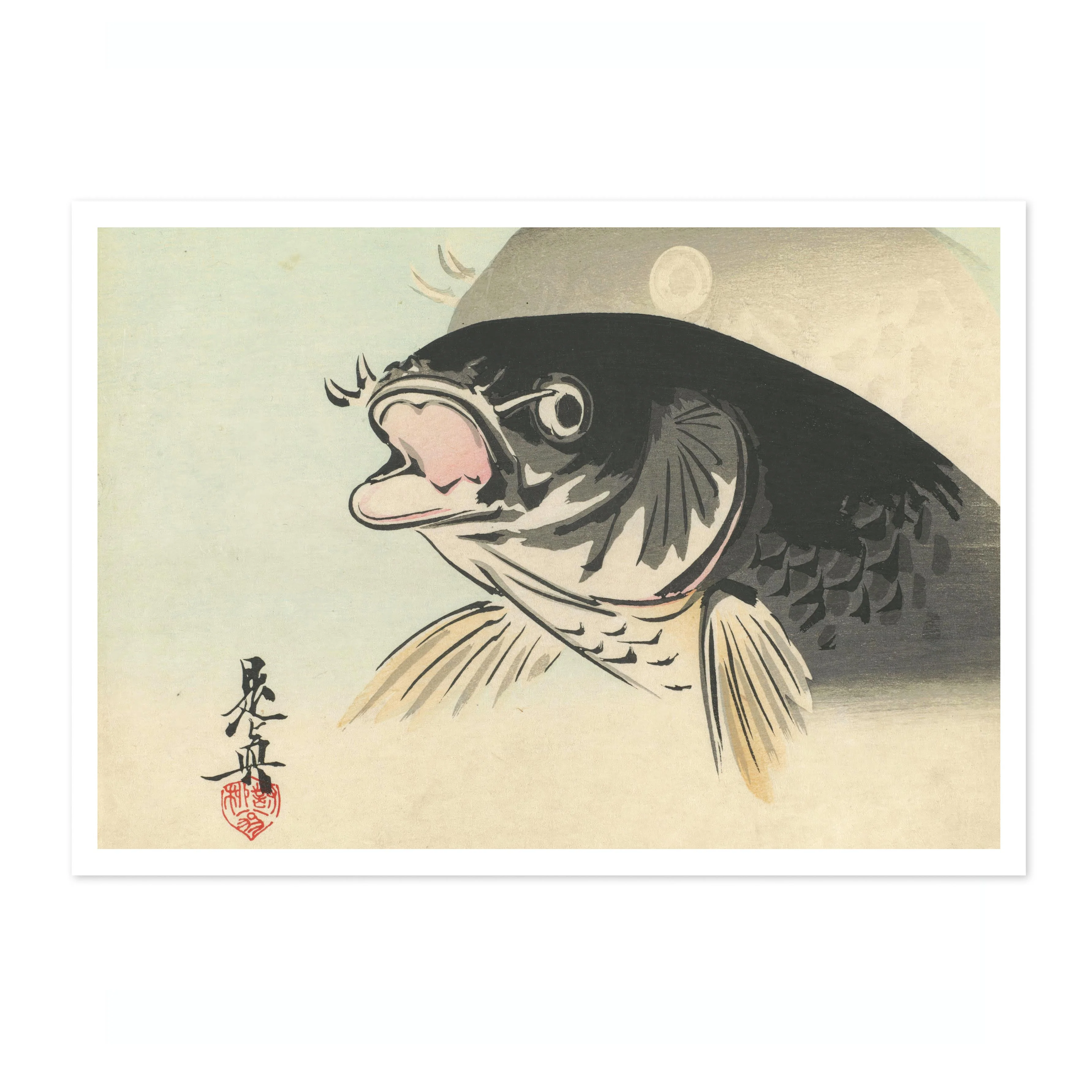Carp - Image 4