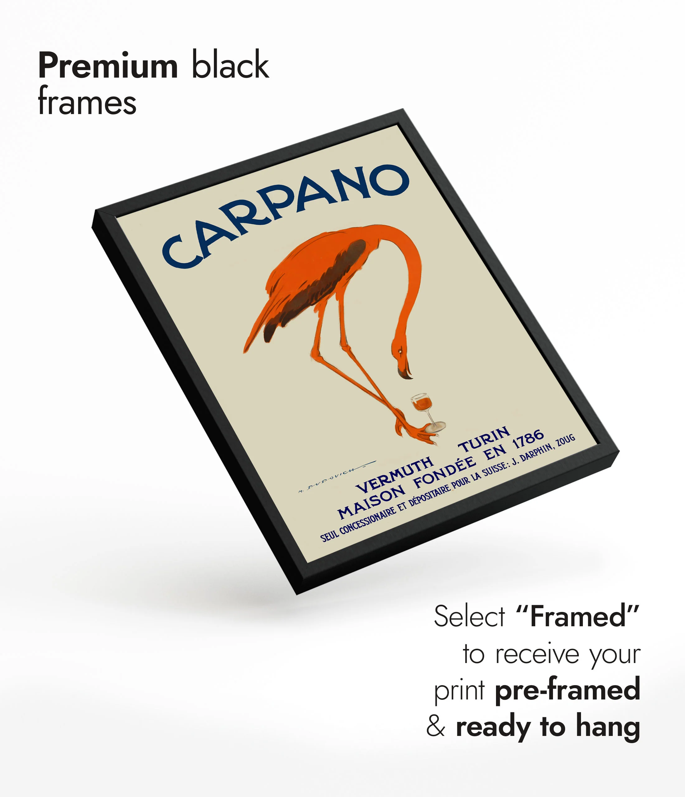 Carpano - Image 7
