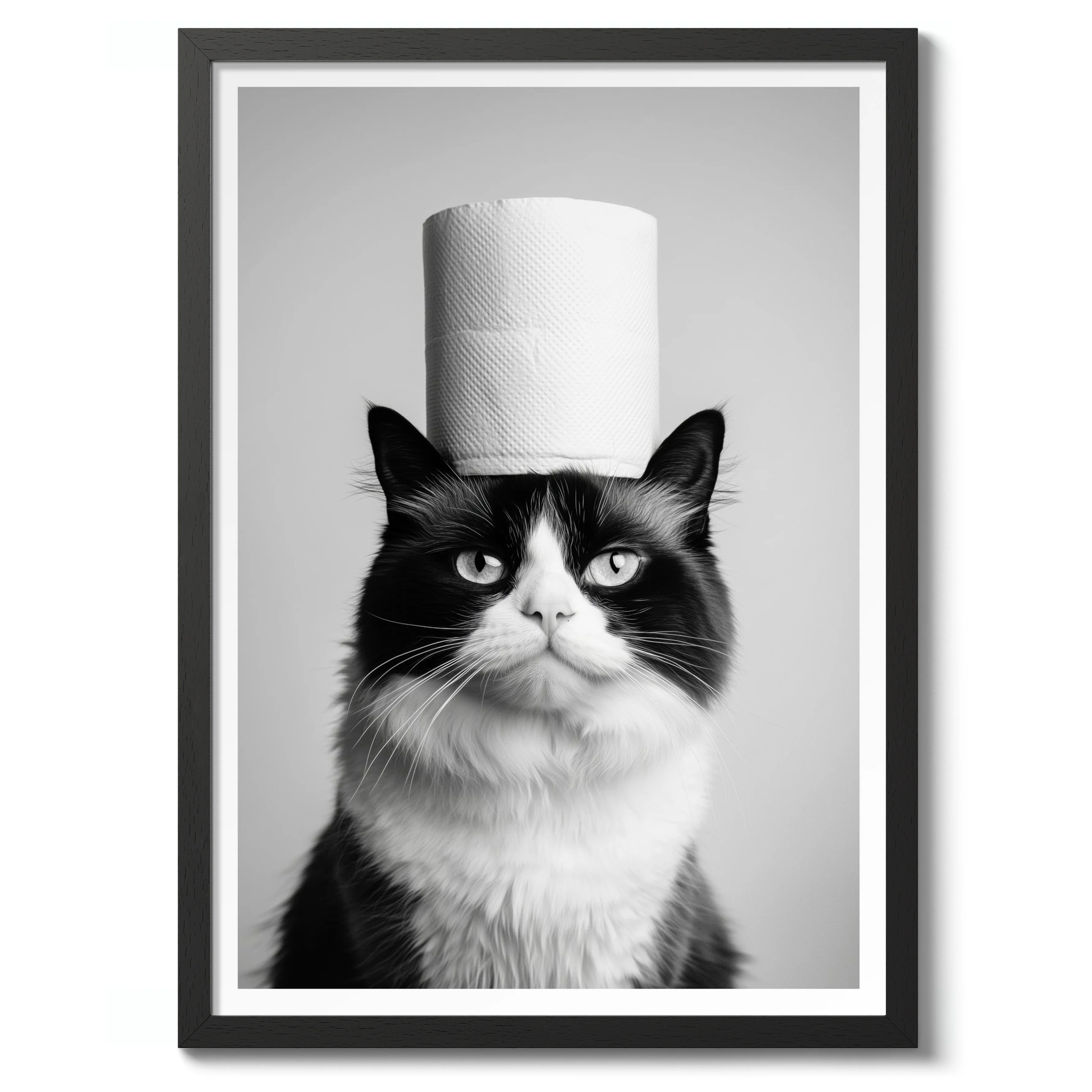 Cat - Image 2