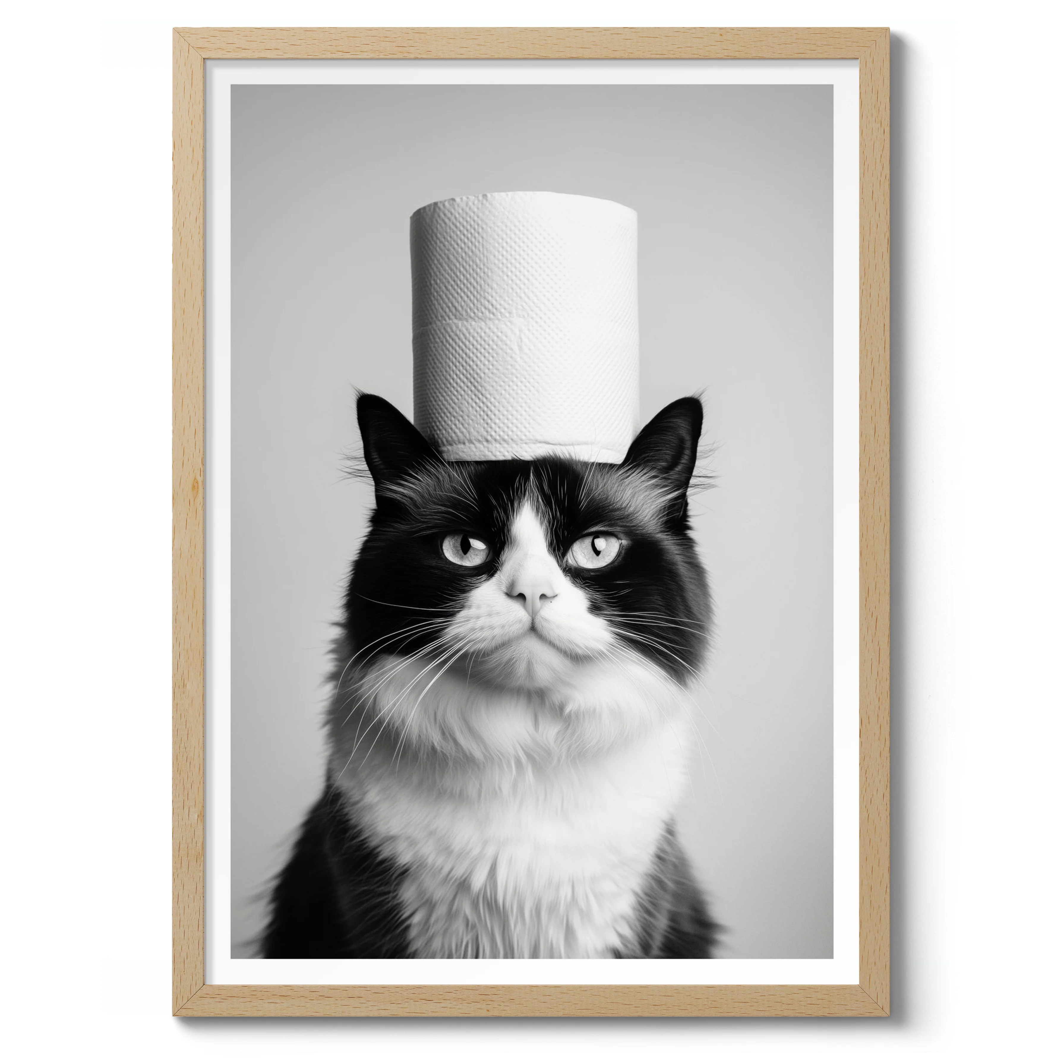 Cat - Image 3