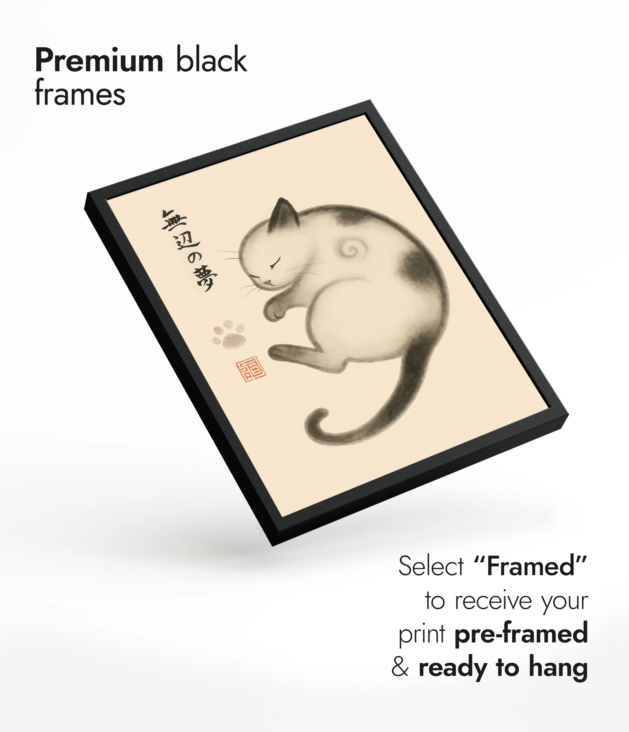 Cat - Image 7