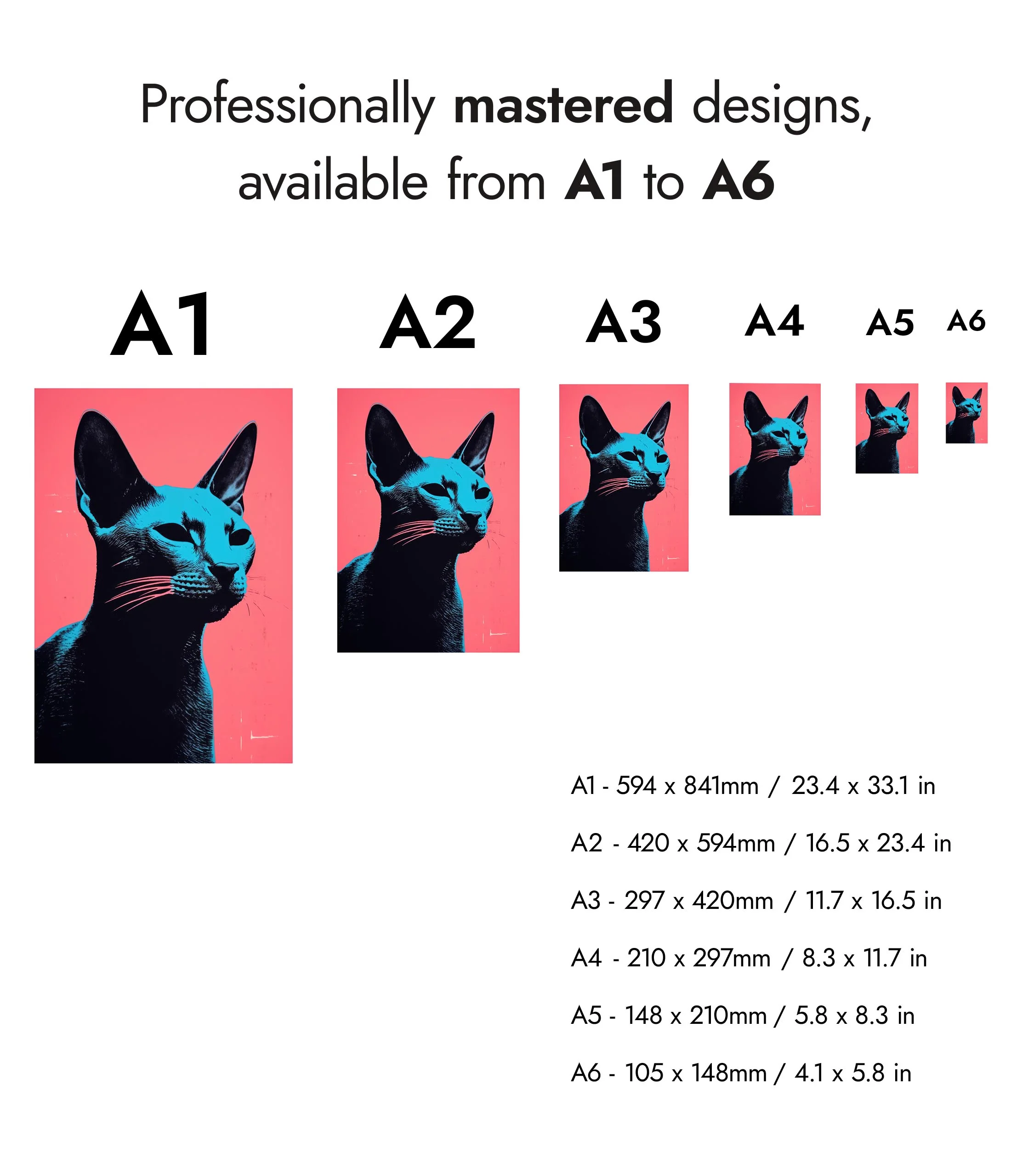 Cat - Image 8