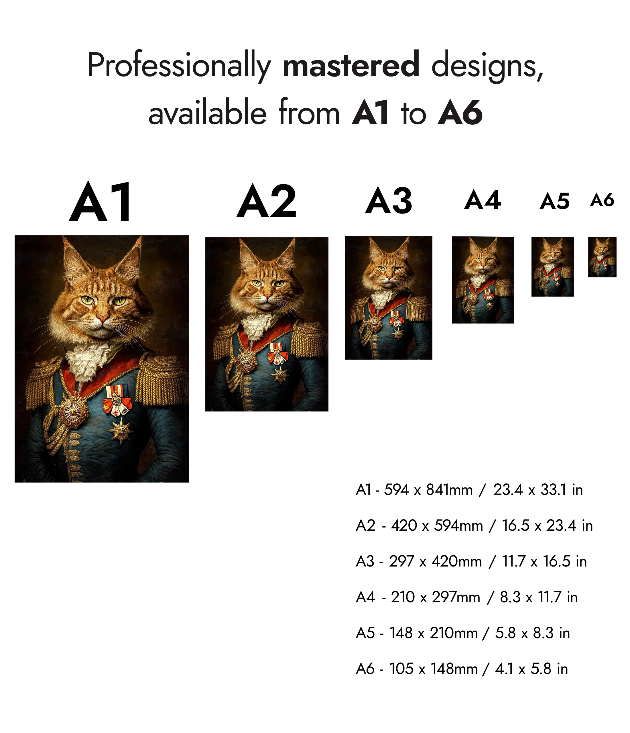 Cat General - Image 8