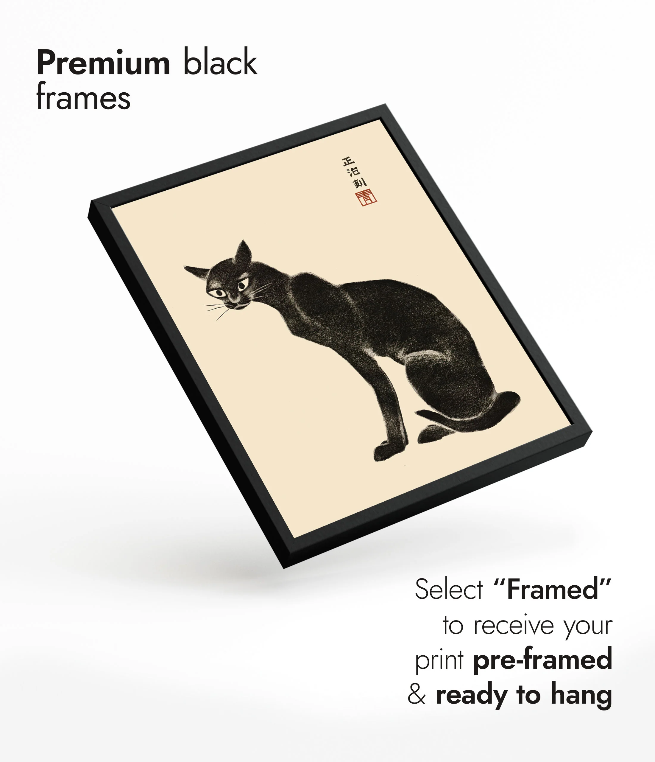 Cat - Image 7