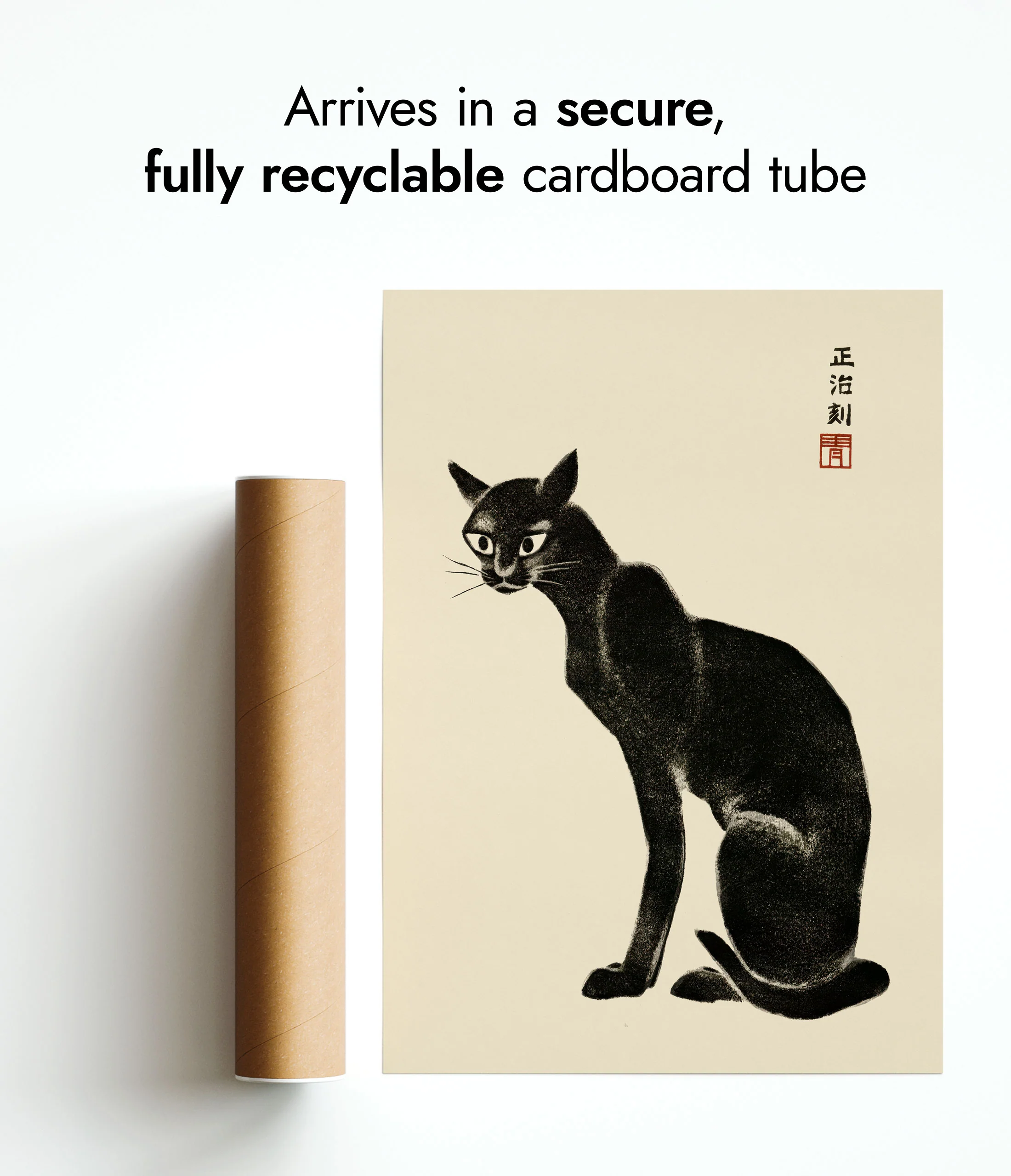 Cat - Image 9