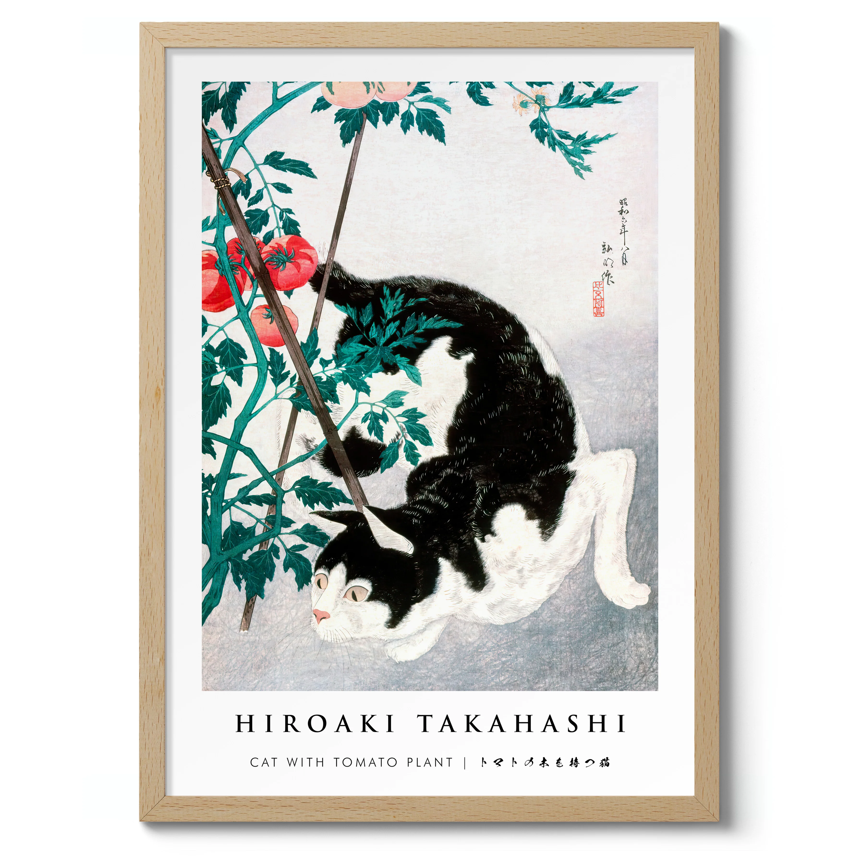 Cat with Tomato Plant - Image 3