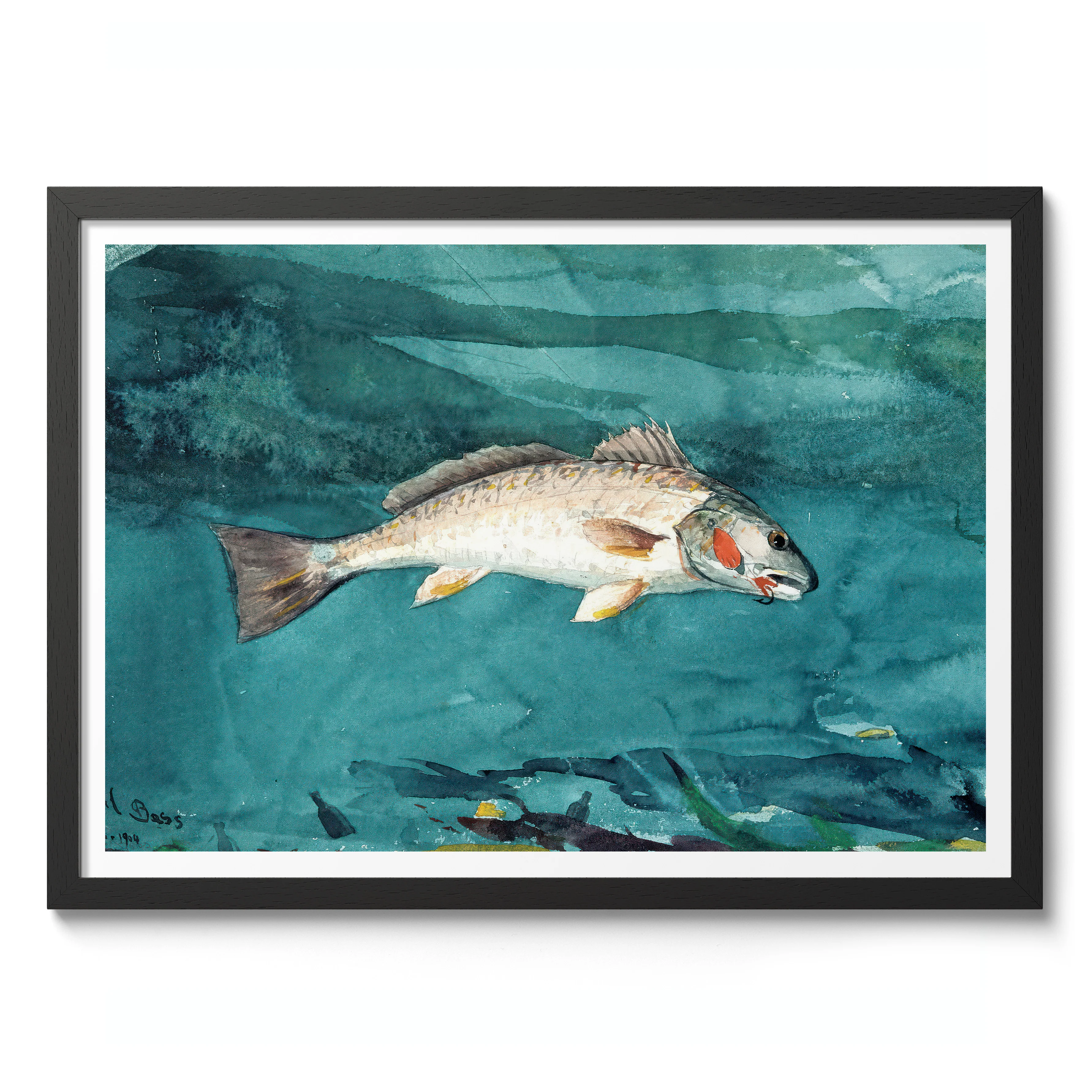 Channel Bass - Image 2