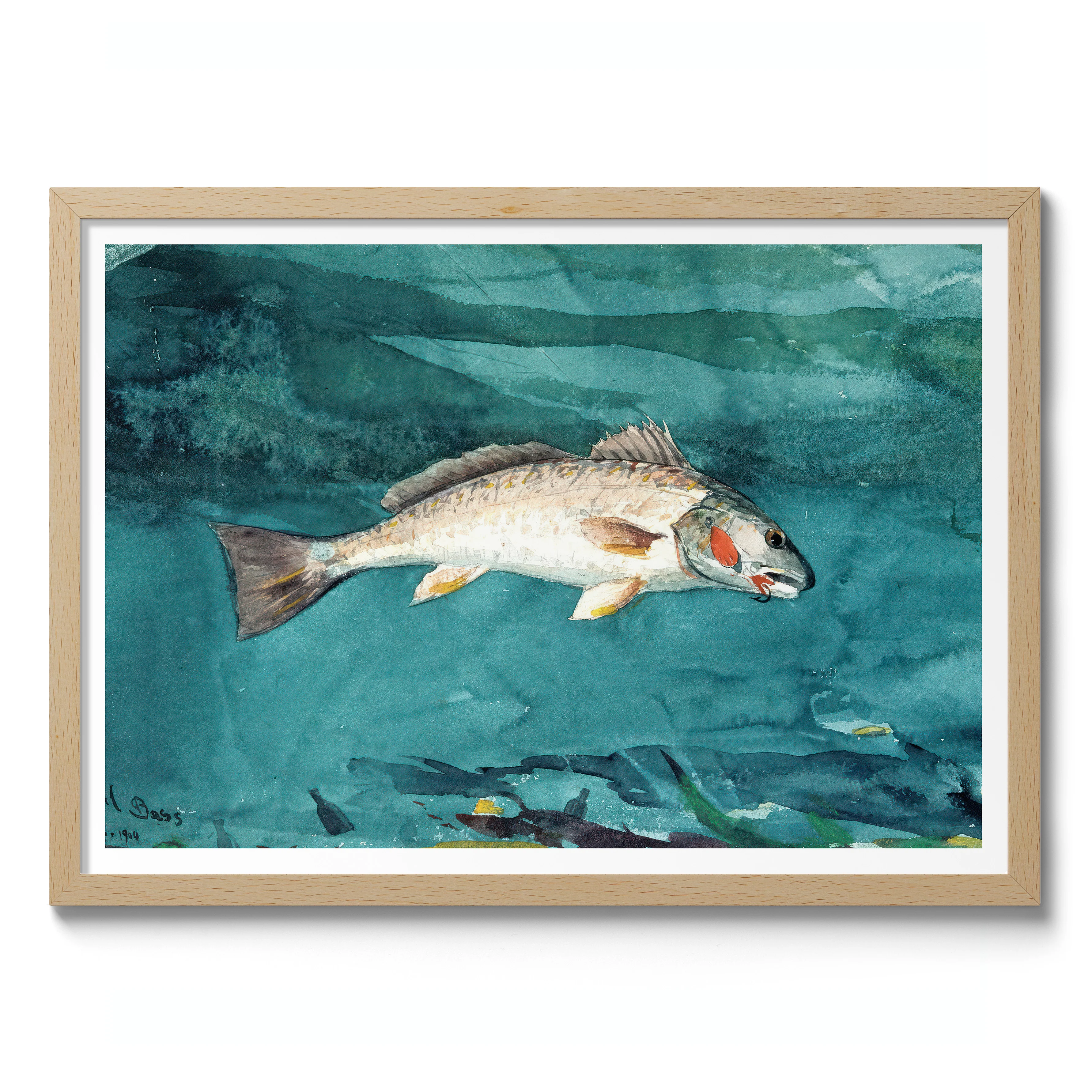 Channel Bass - Image 3