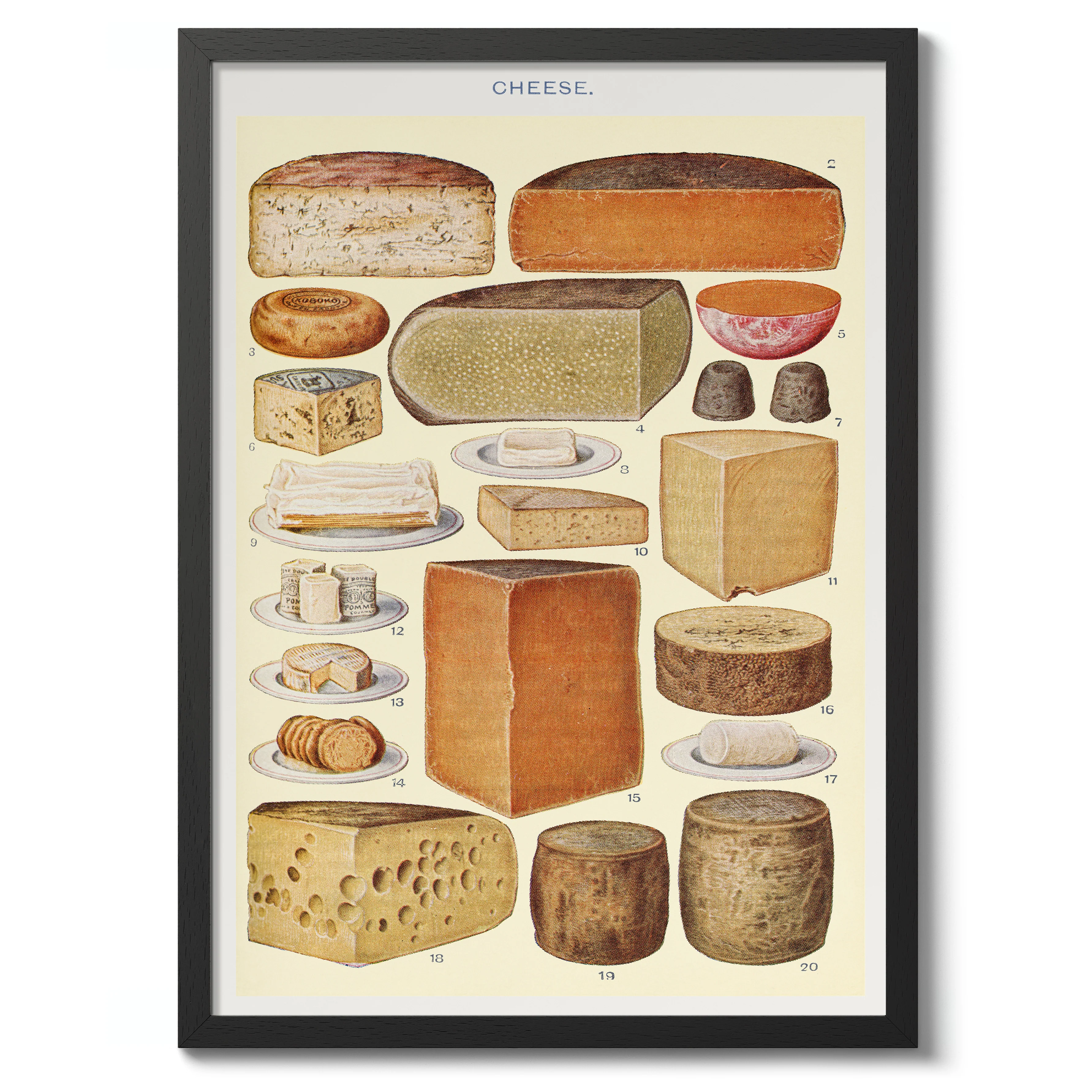 Cheese - Image 2