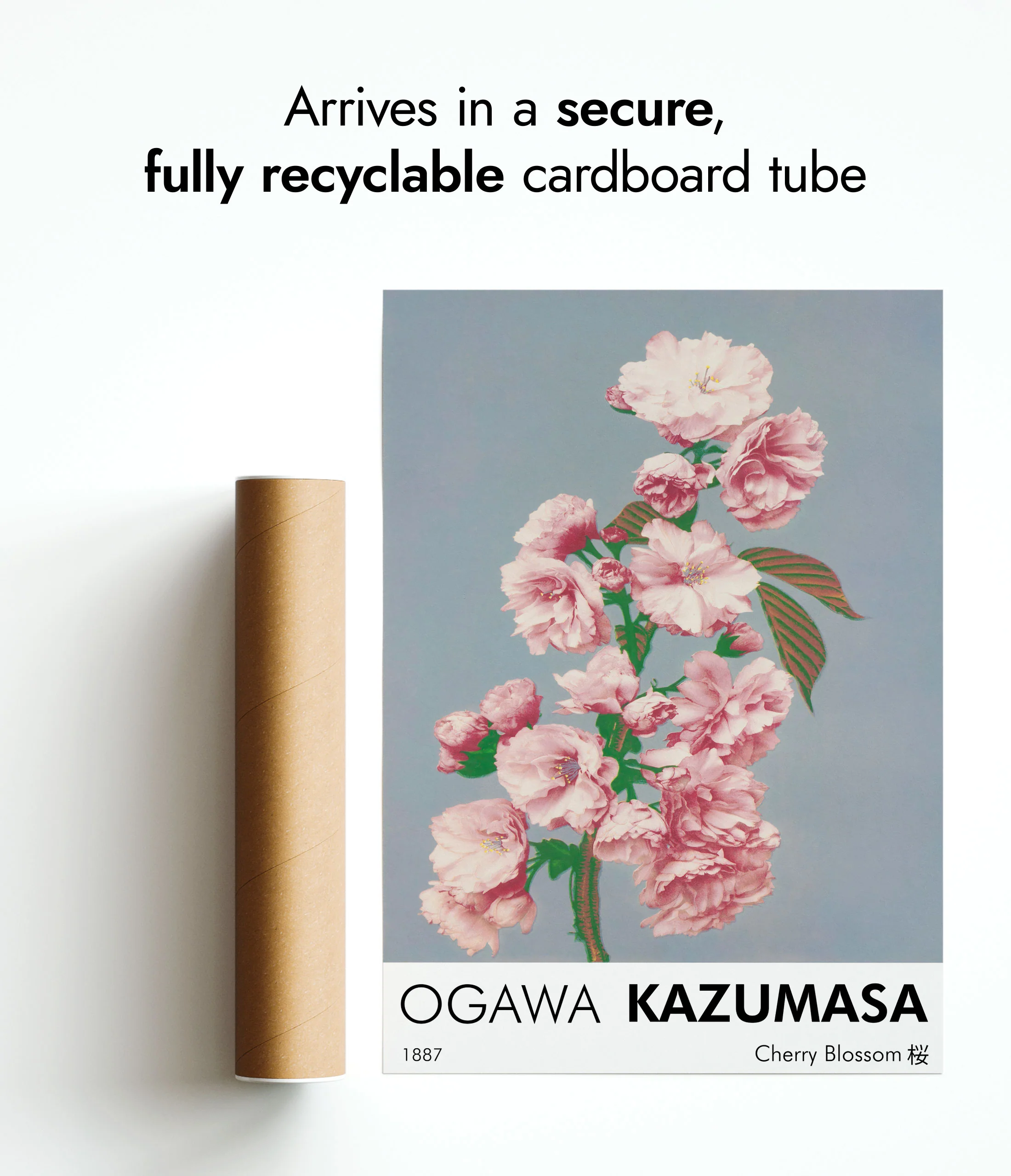 Cherry Blossom - Image 9
