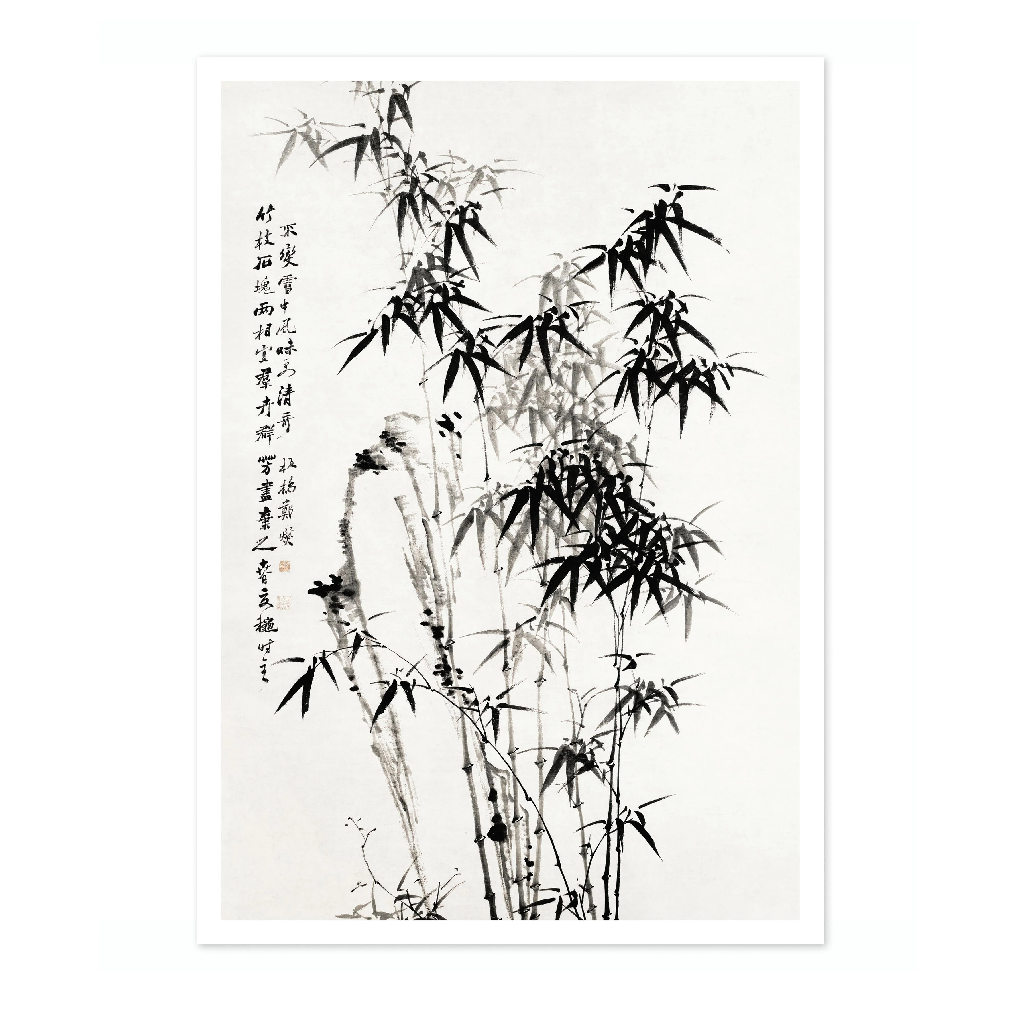 Chinese Bamboo - Image 4