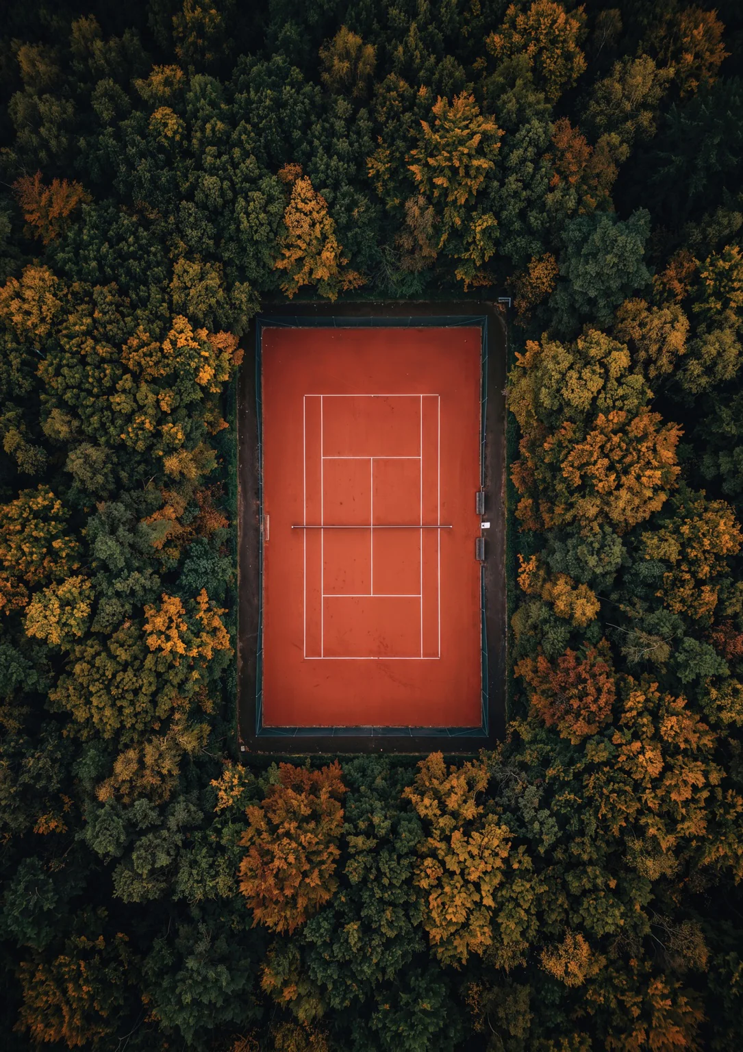 Clay & Canopy