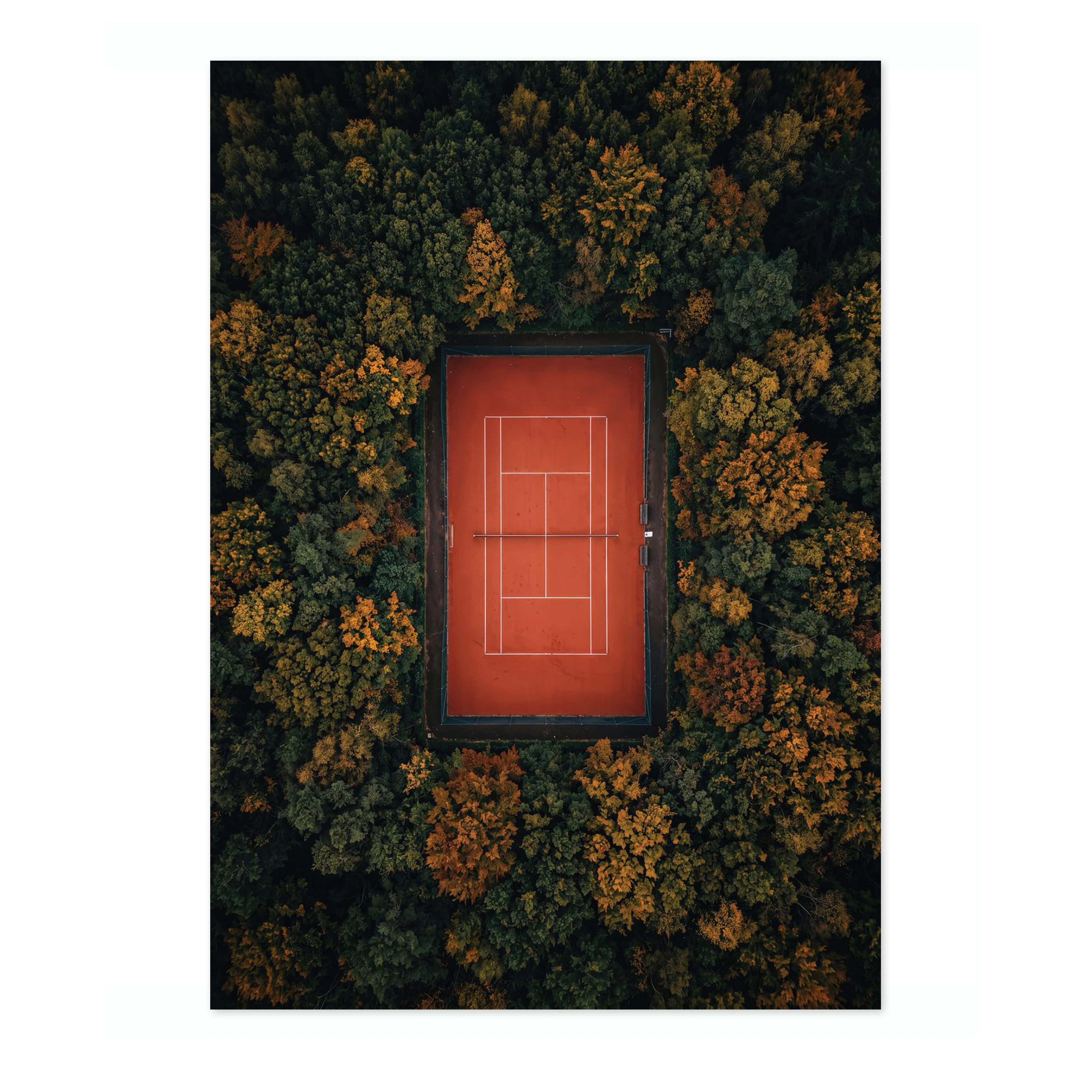 Clay & Canopy - Image 4