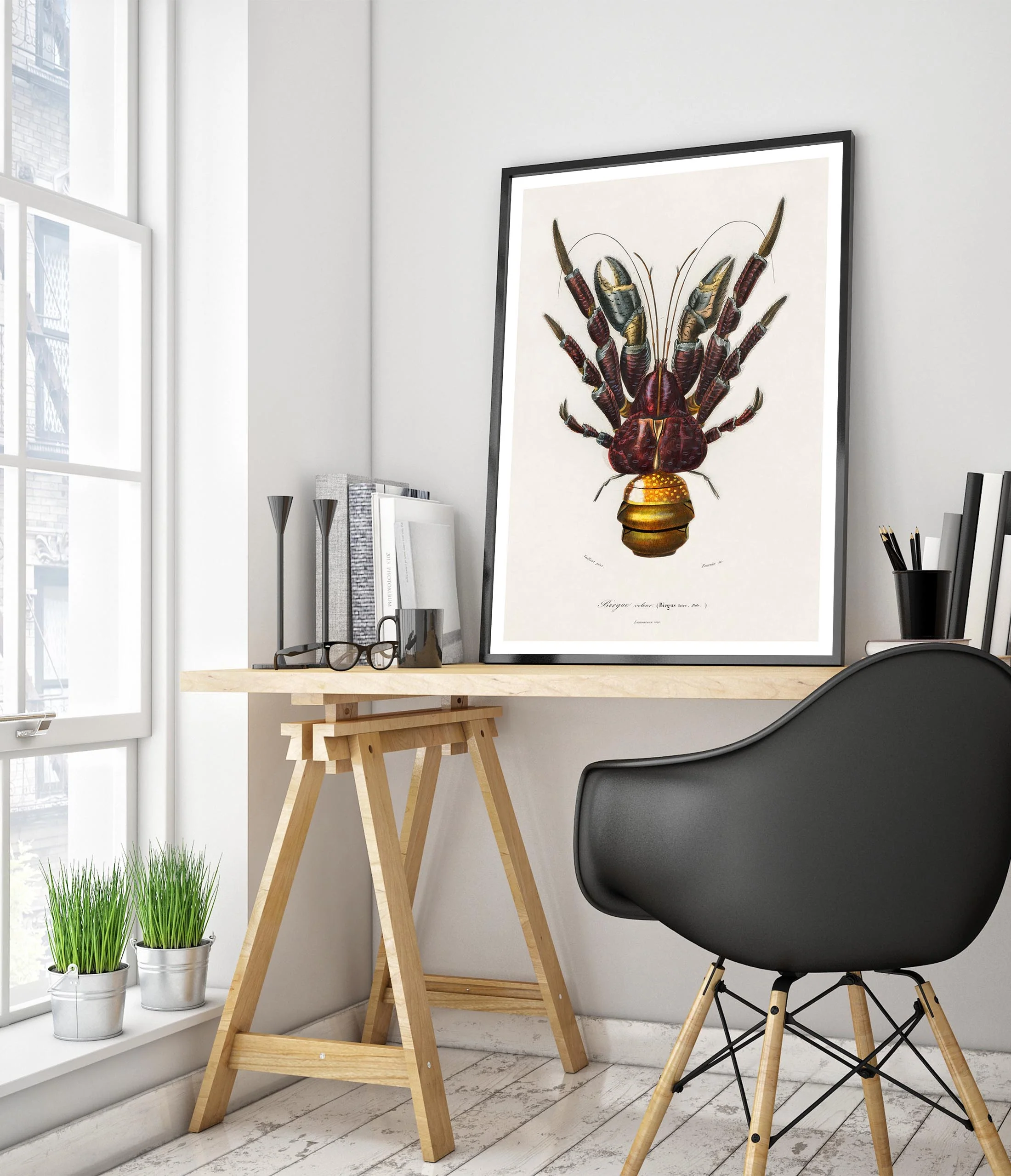 Coconut Crab - Image 5