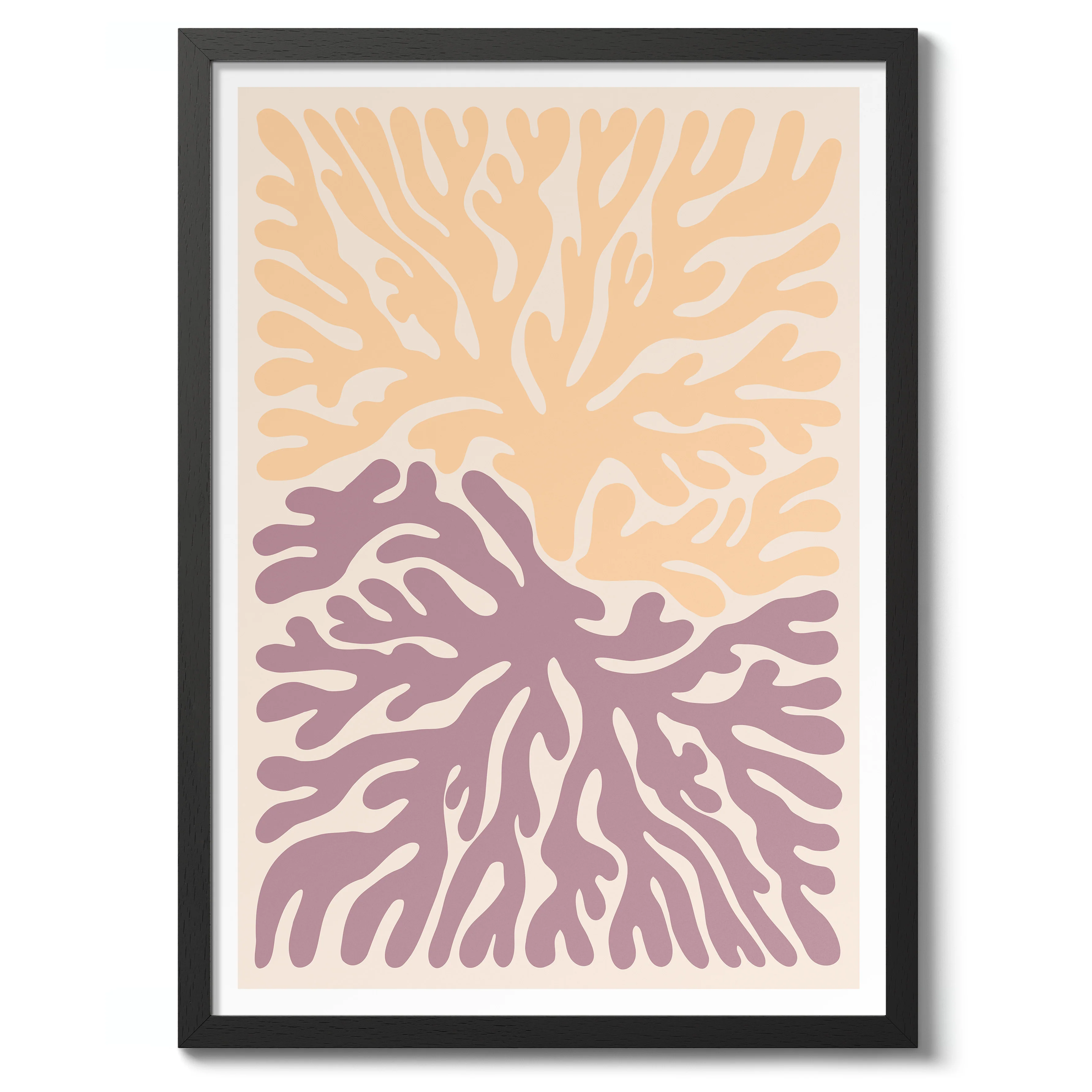 Coral - Image 2