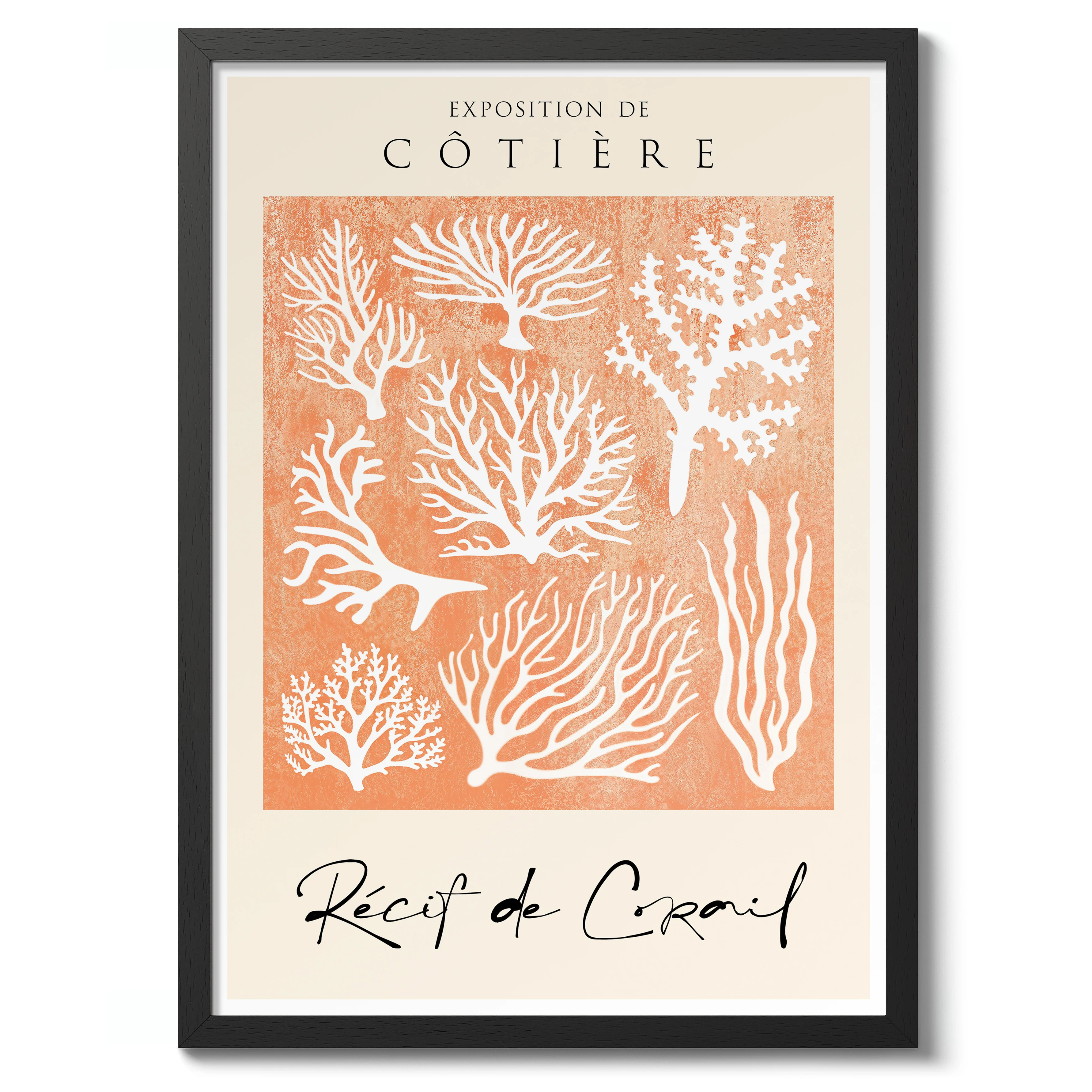 Coral Reef - Image 2