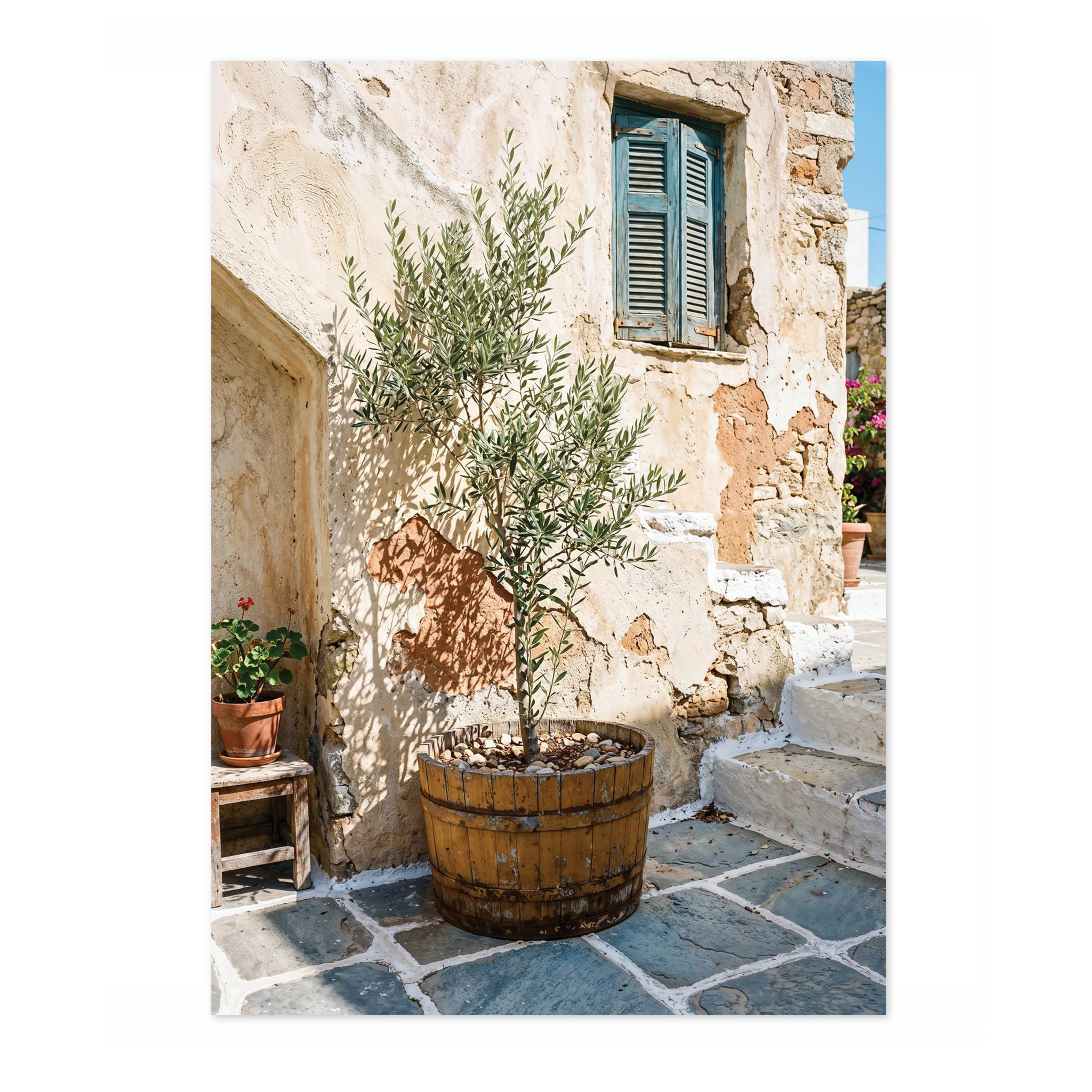 Courtyard Olives - Image 4