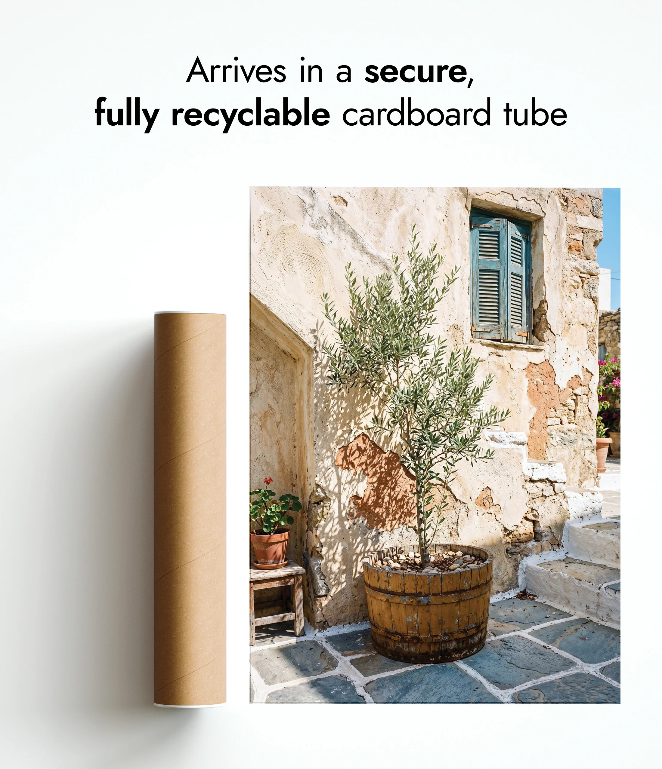 Courtyard Olives - Image 9