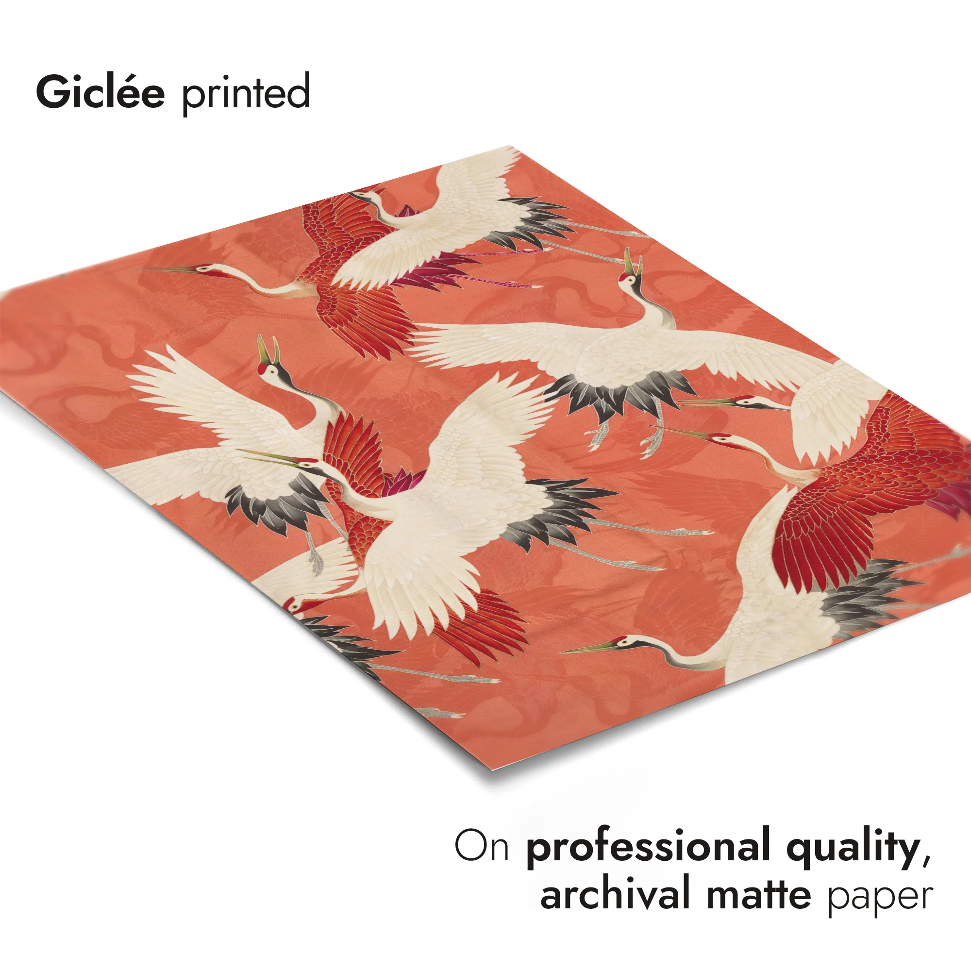 Cranes - Image 6