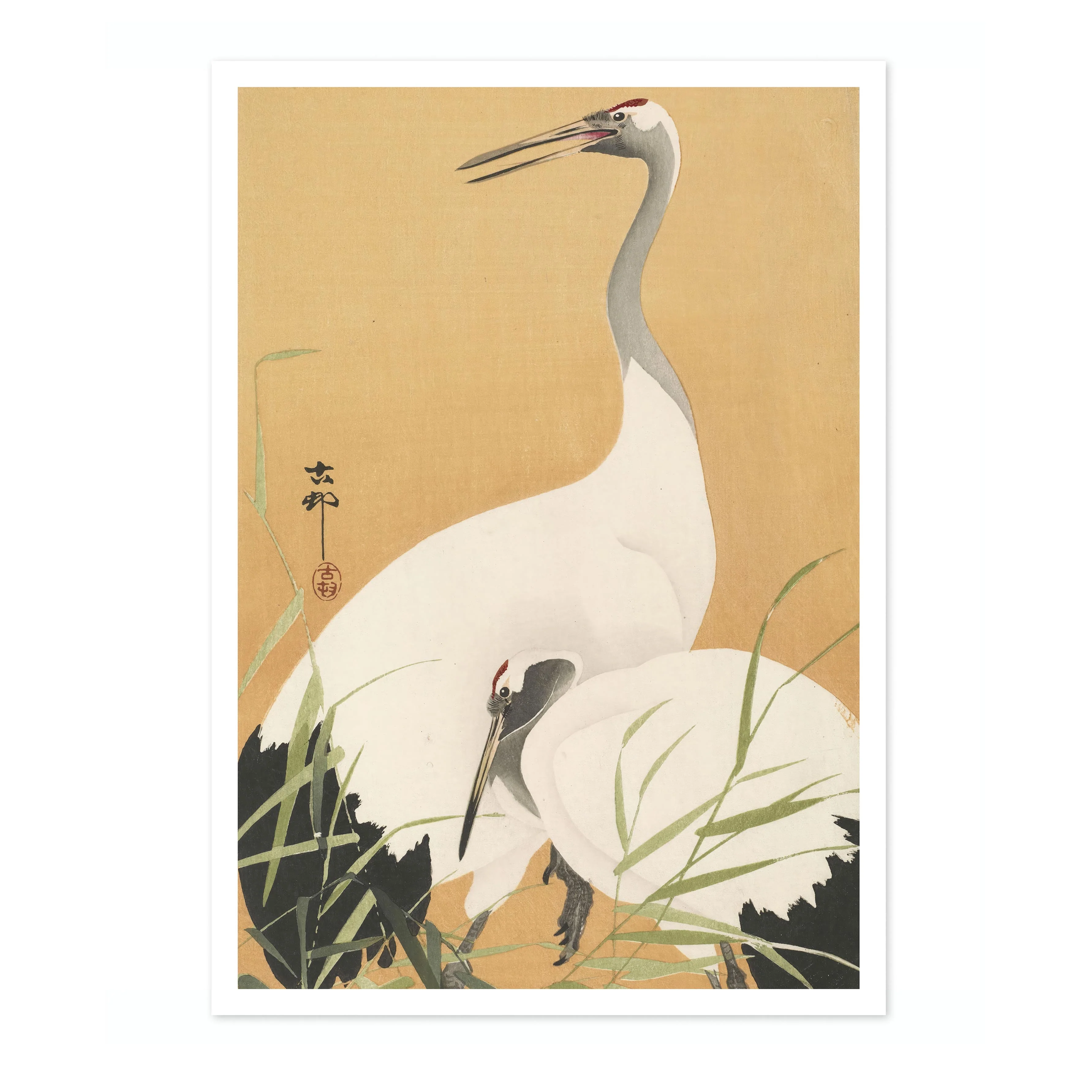 Cranes - Image 4
