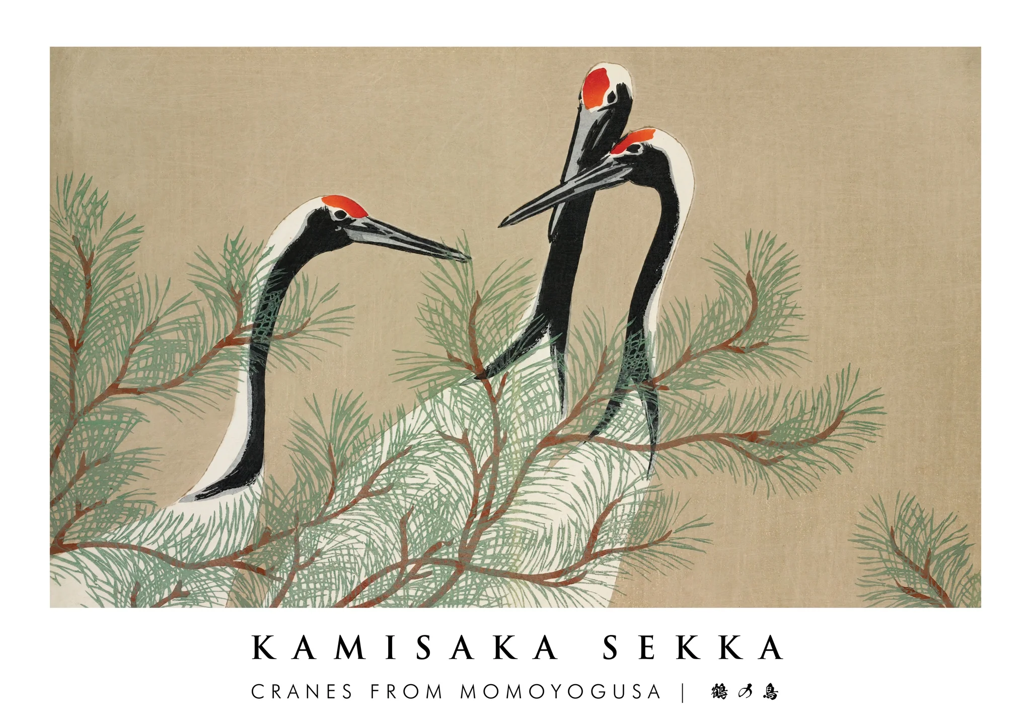 Cranes from Momoyogusa