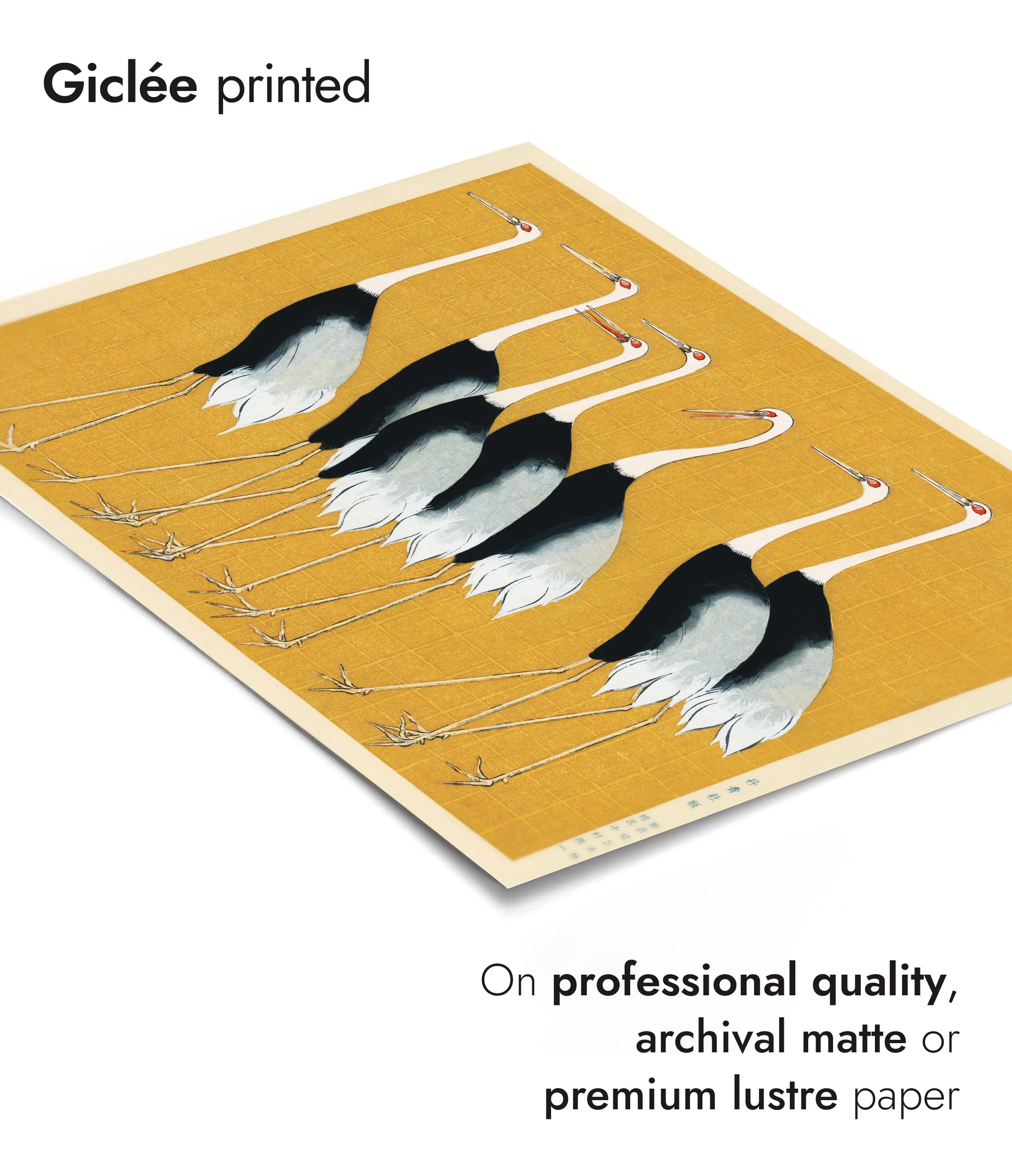 Cranes - Image 6