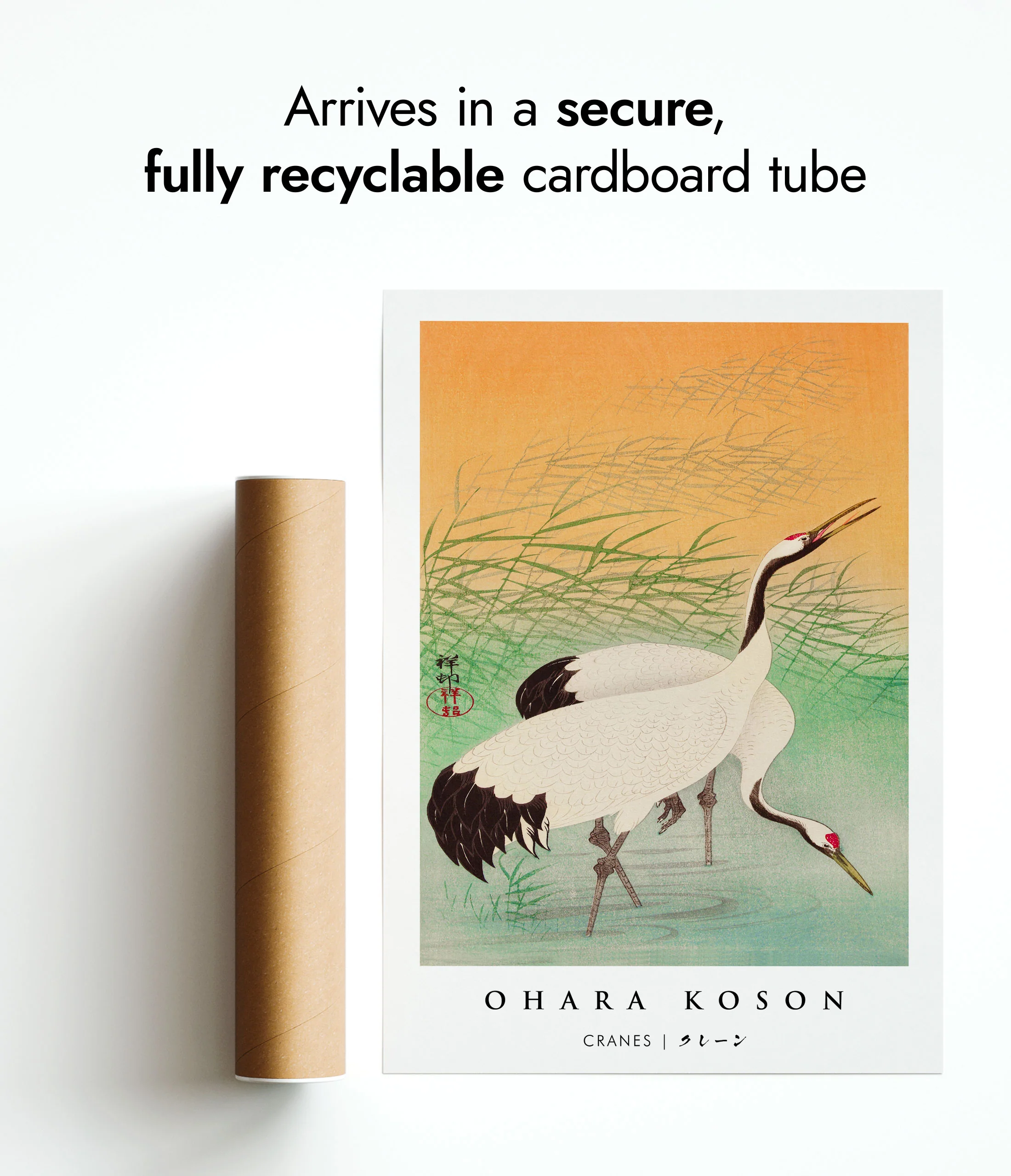 Cranes - Image 9