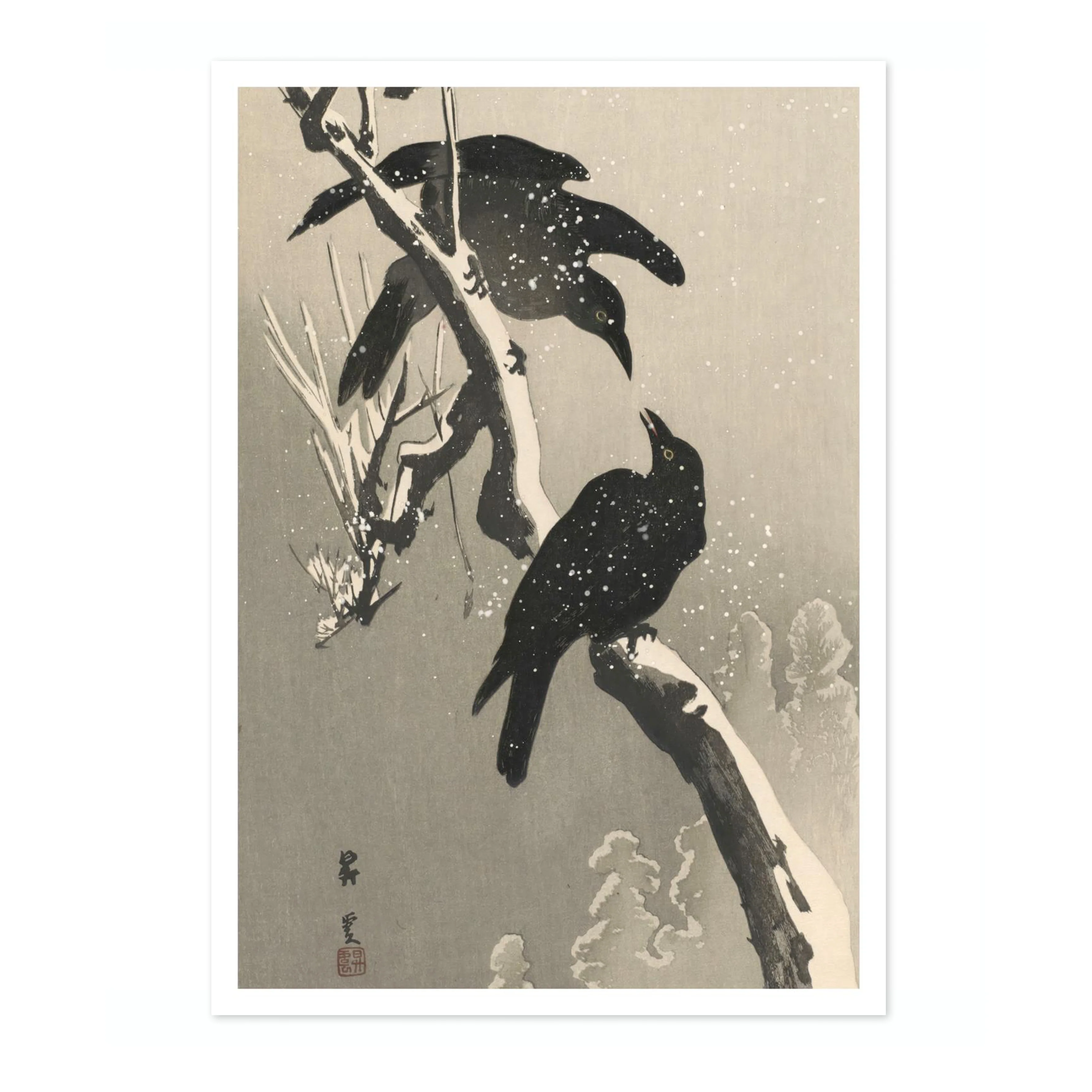 Crows - Image 4
