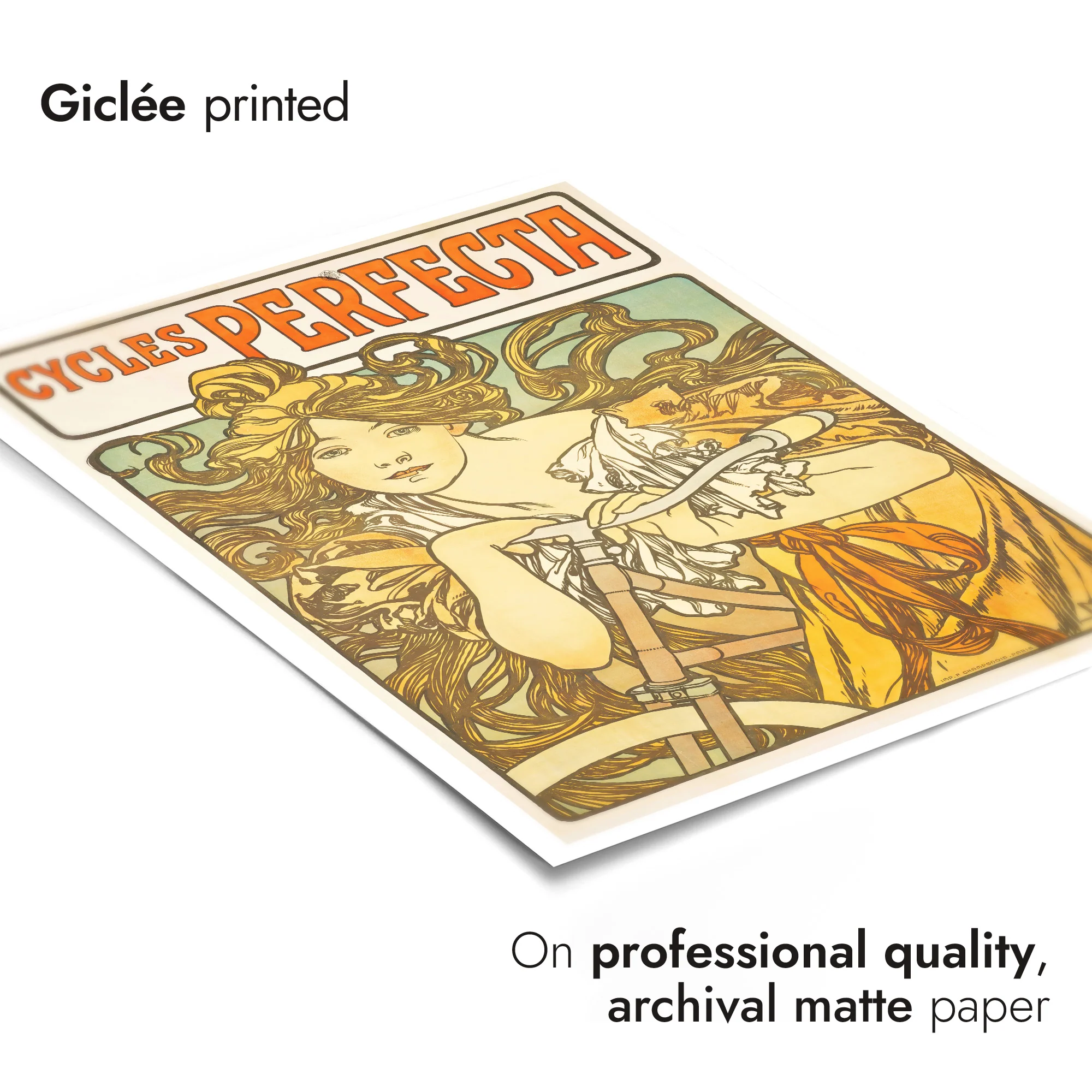 Cycles Perfecta - Image 6