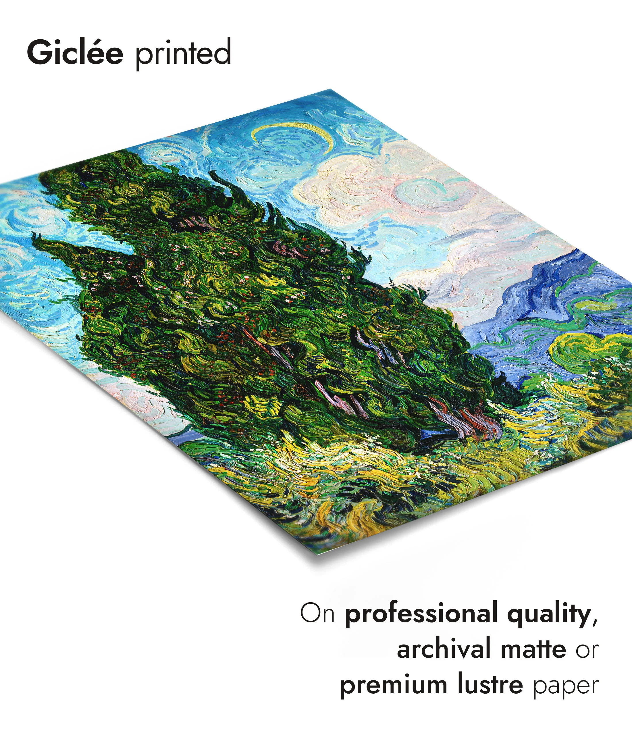 Cypresses - Image 6