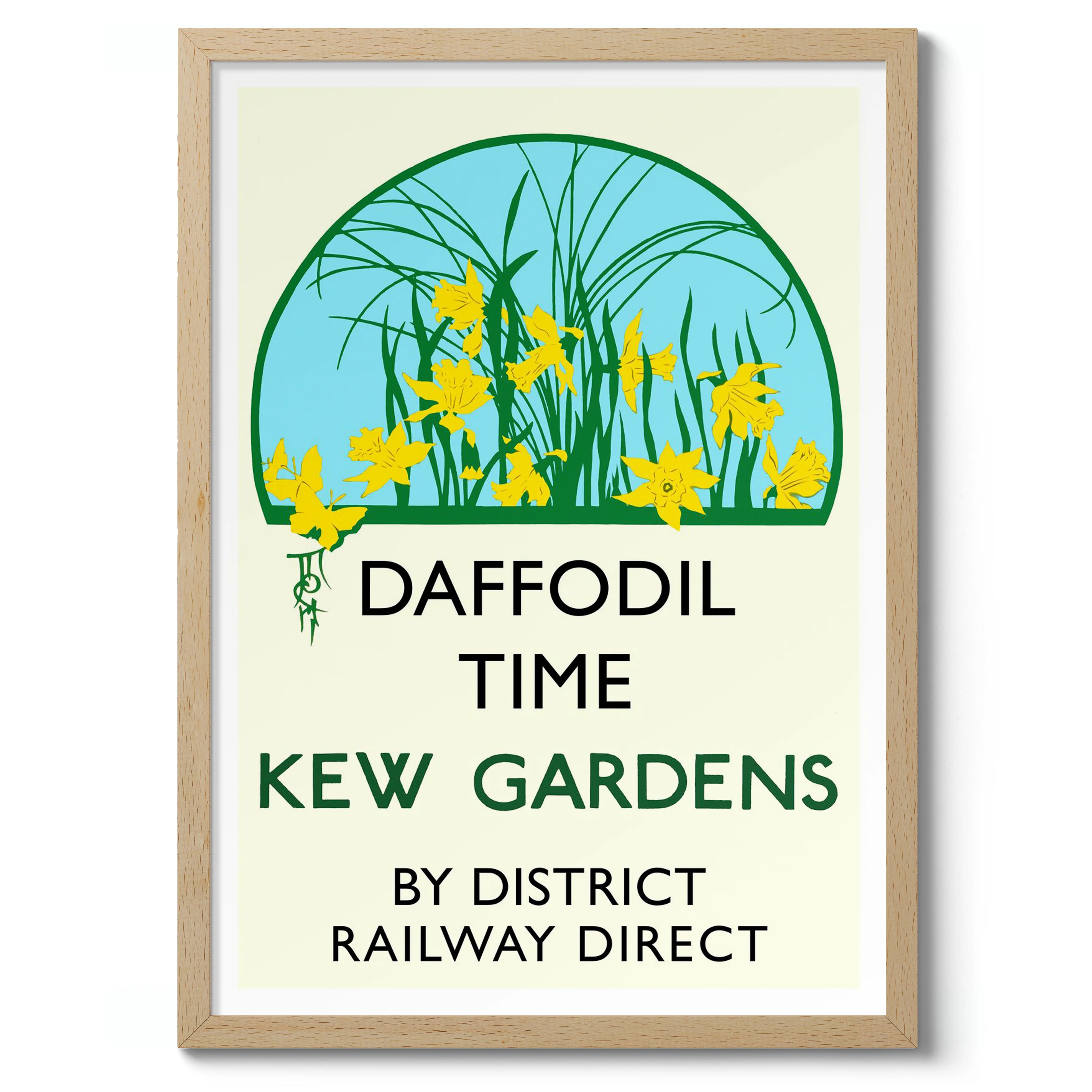 Daffodil Time, Kew Gardens - Image 3