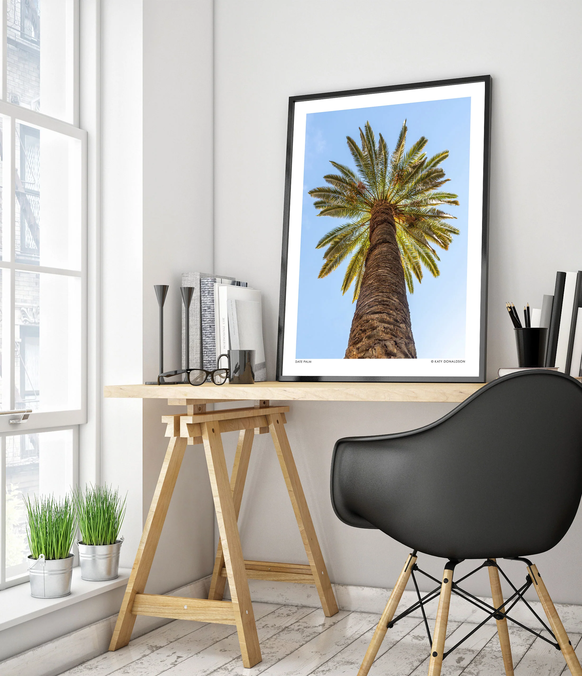 Date Palm - Image 5