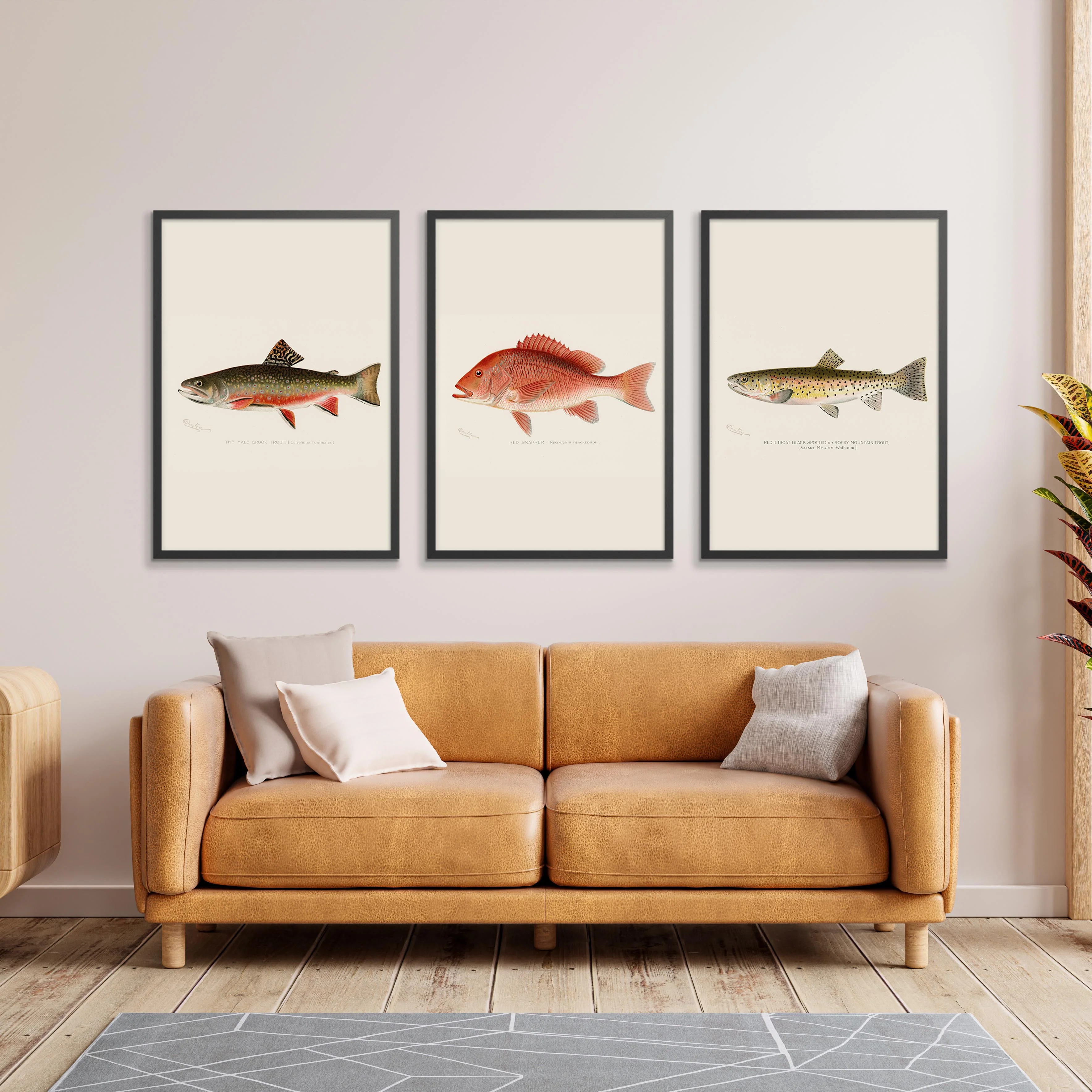 Denton's Fish - Image 4
