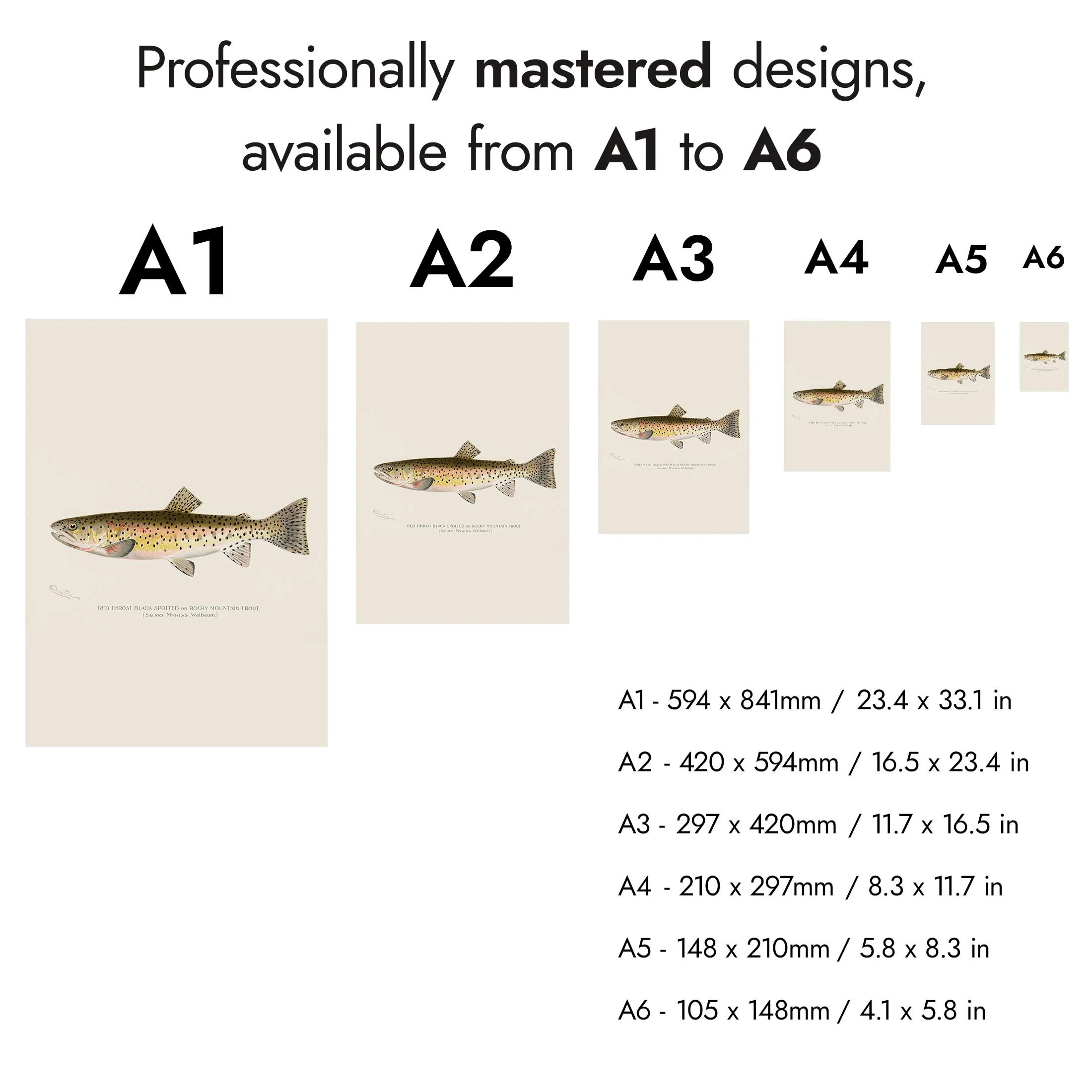 Denton's Fish - Image 7