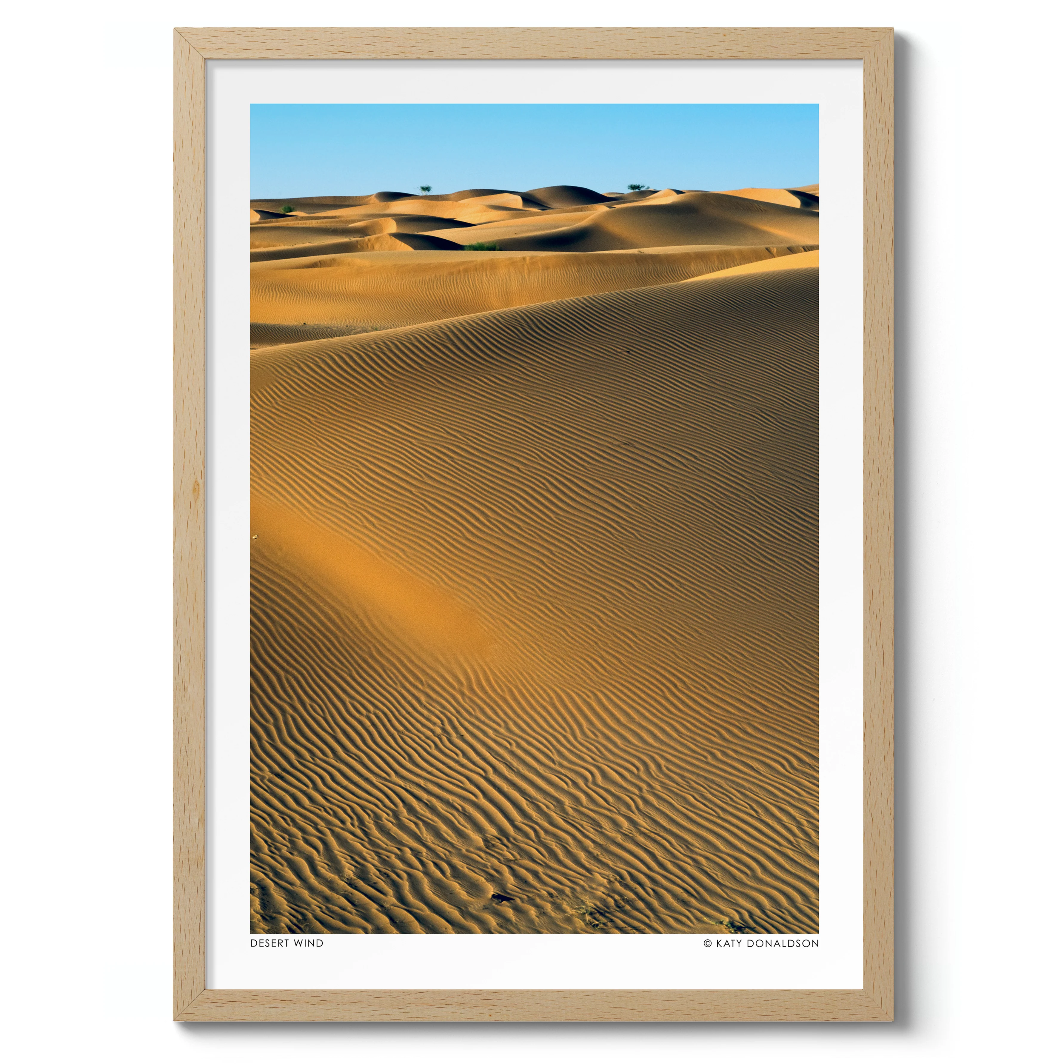 Desert Wind - Image 3