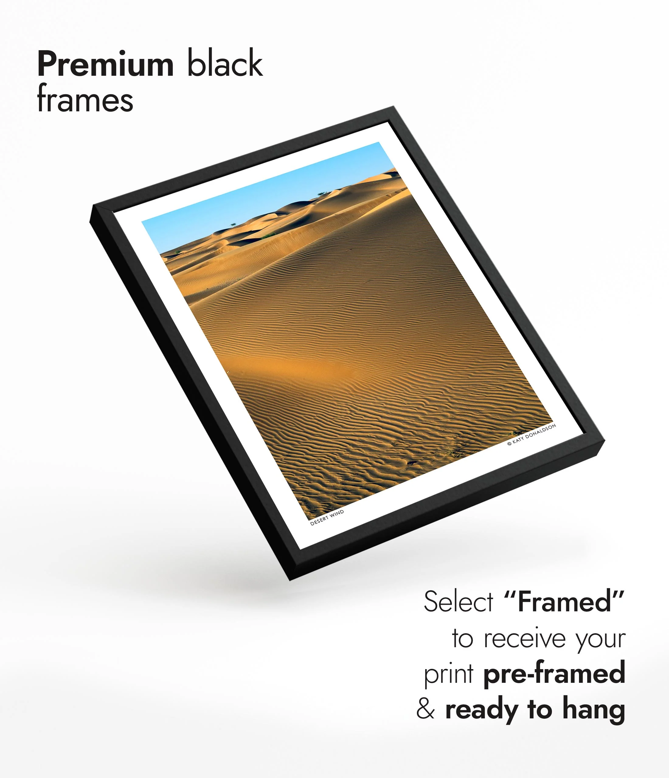 Desert Wind - Image 7