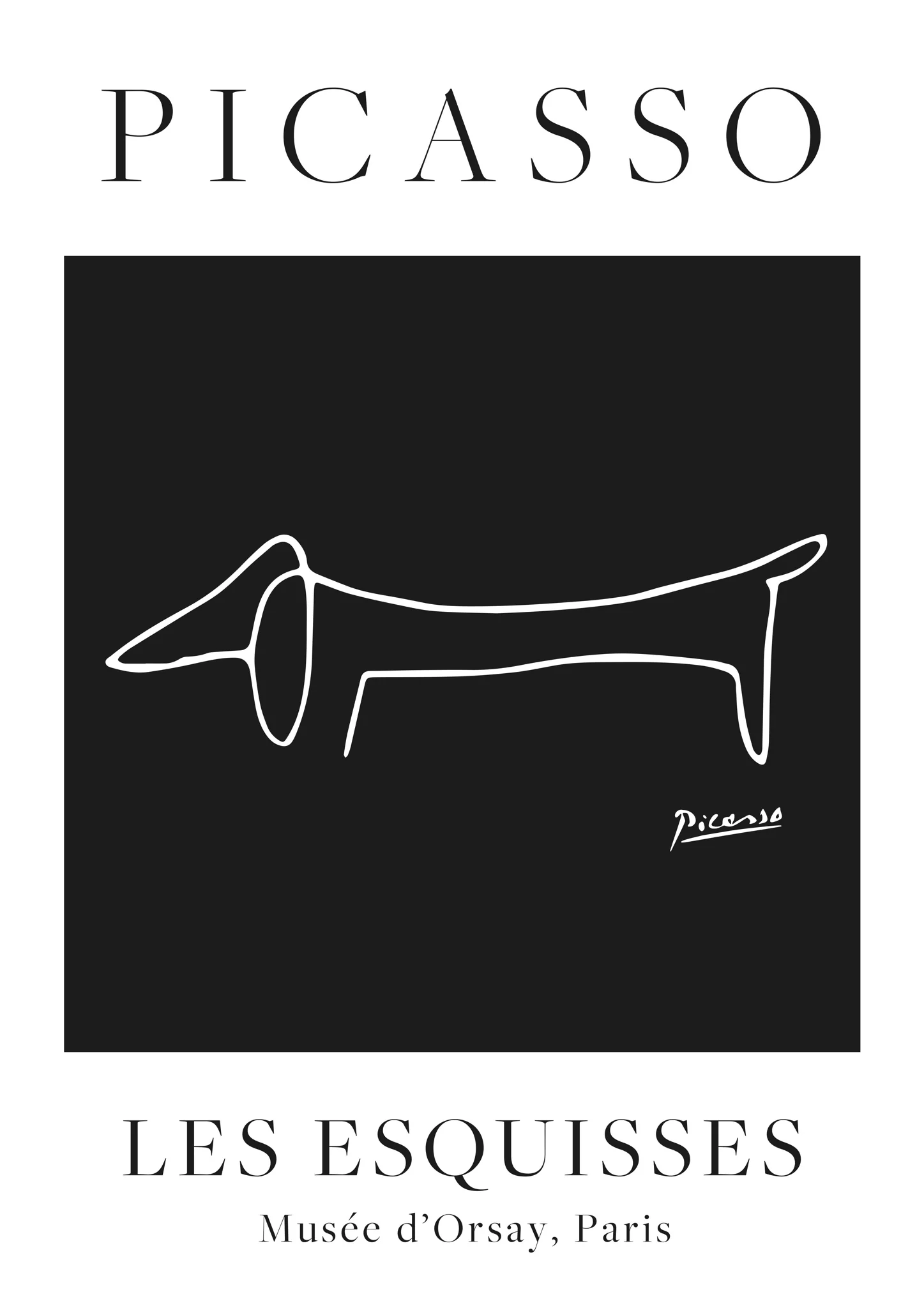 Black Dog