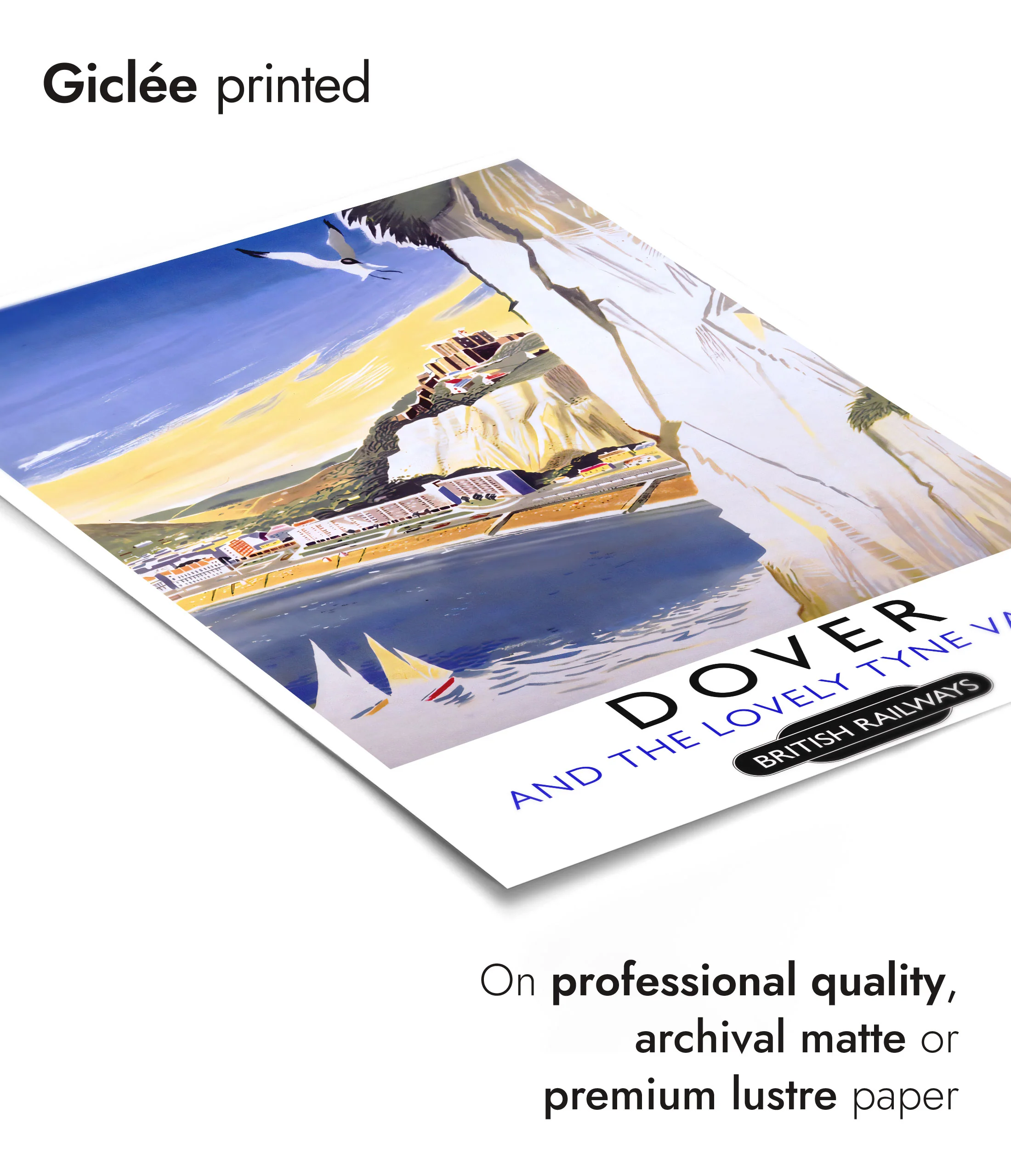 Dover - Image 6