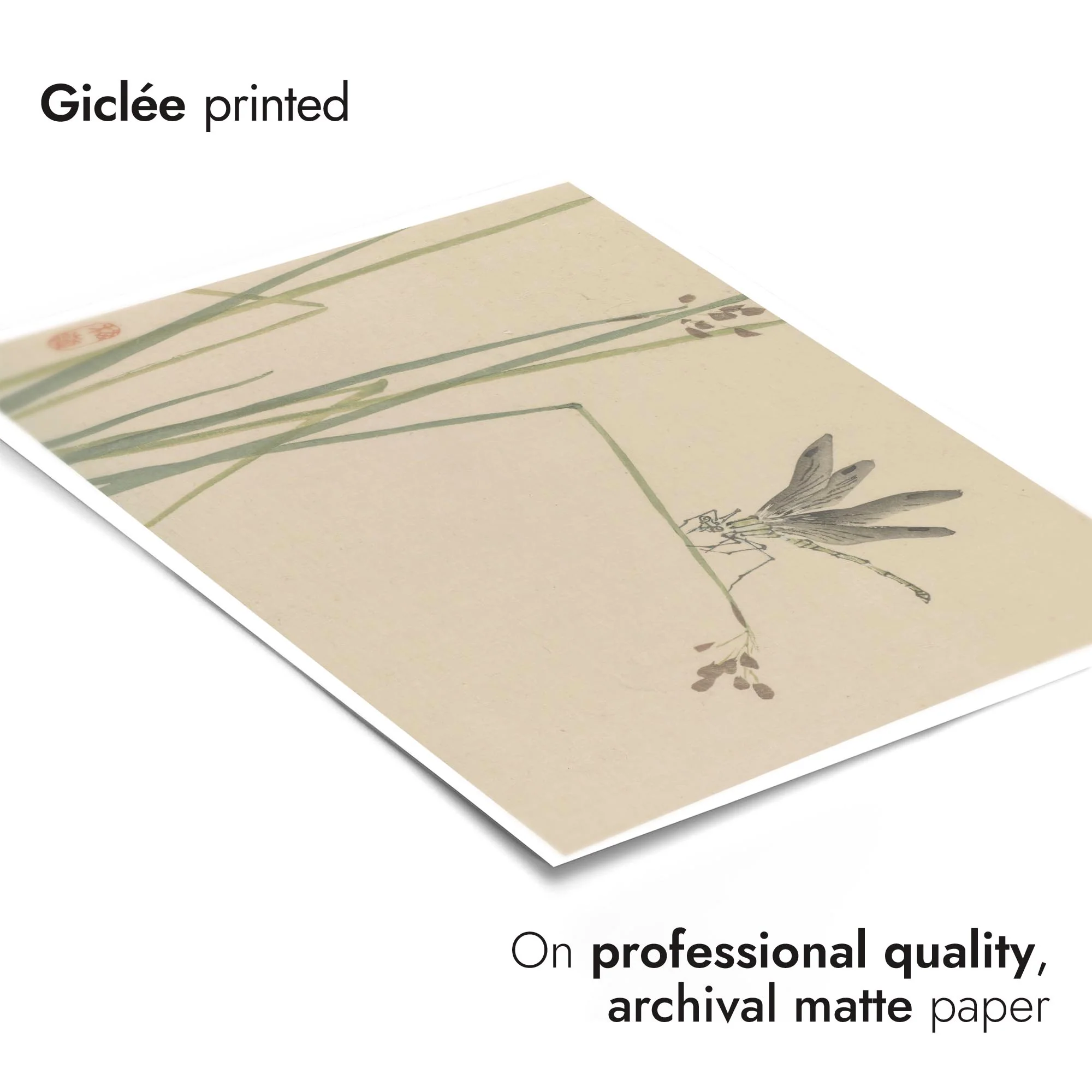 Dragonfly - Image 6