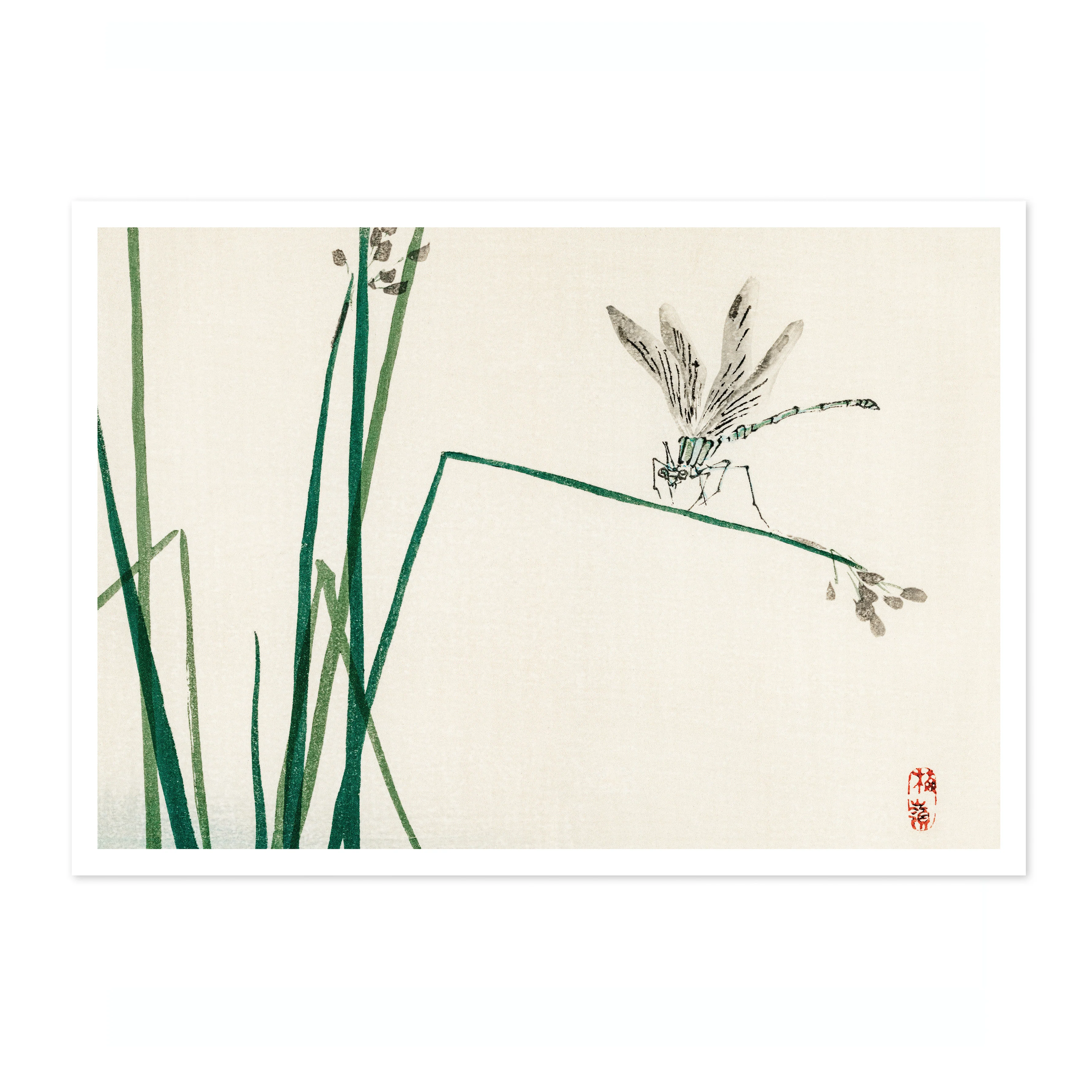 Dragonfly on Bulrush Leaf - Image 4