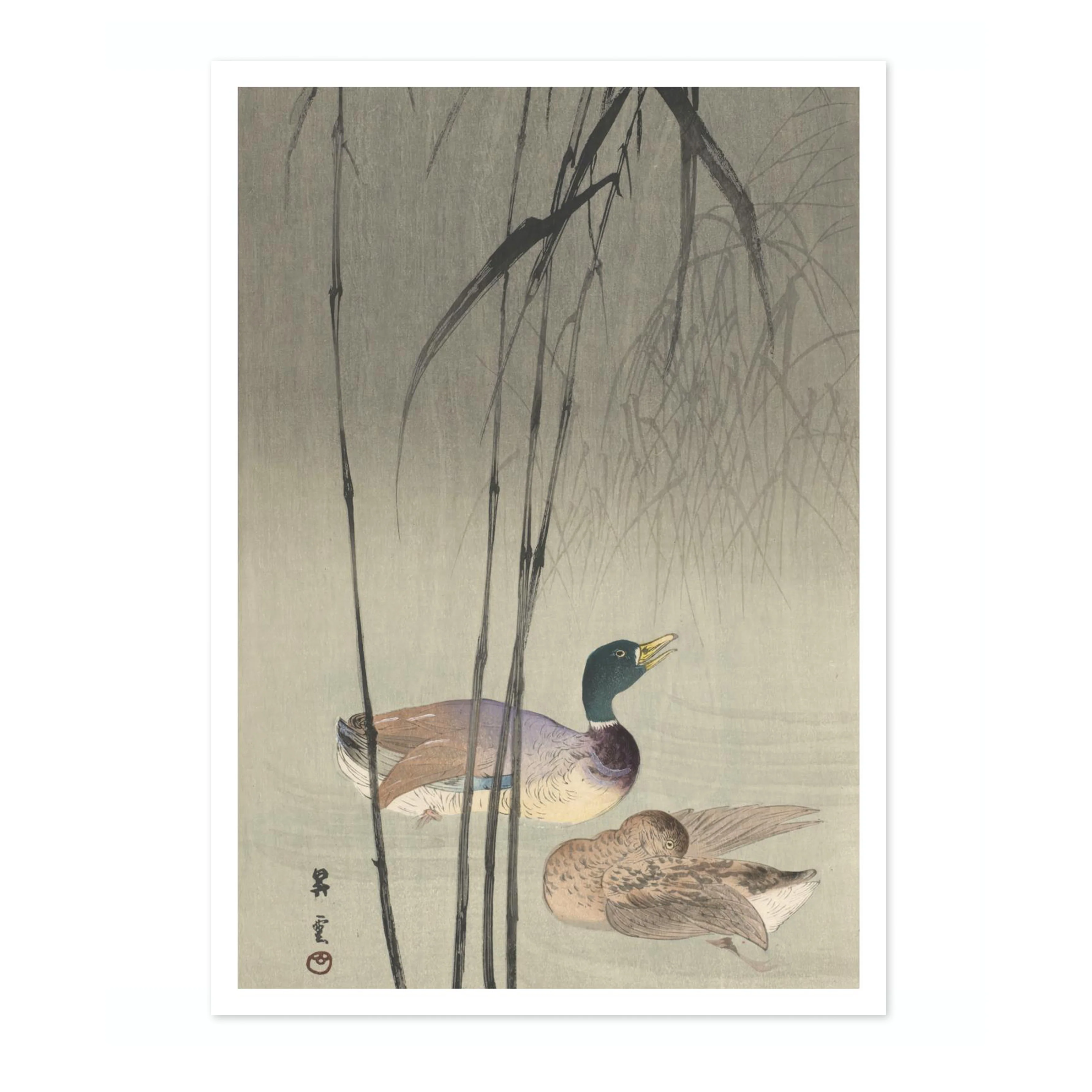 Duck and Bamboo - Image 4