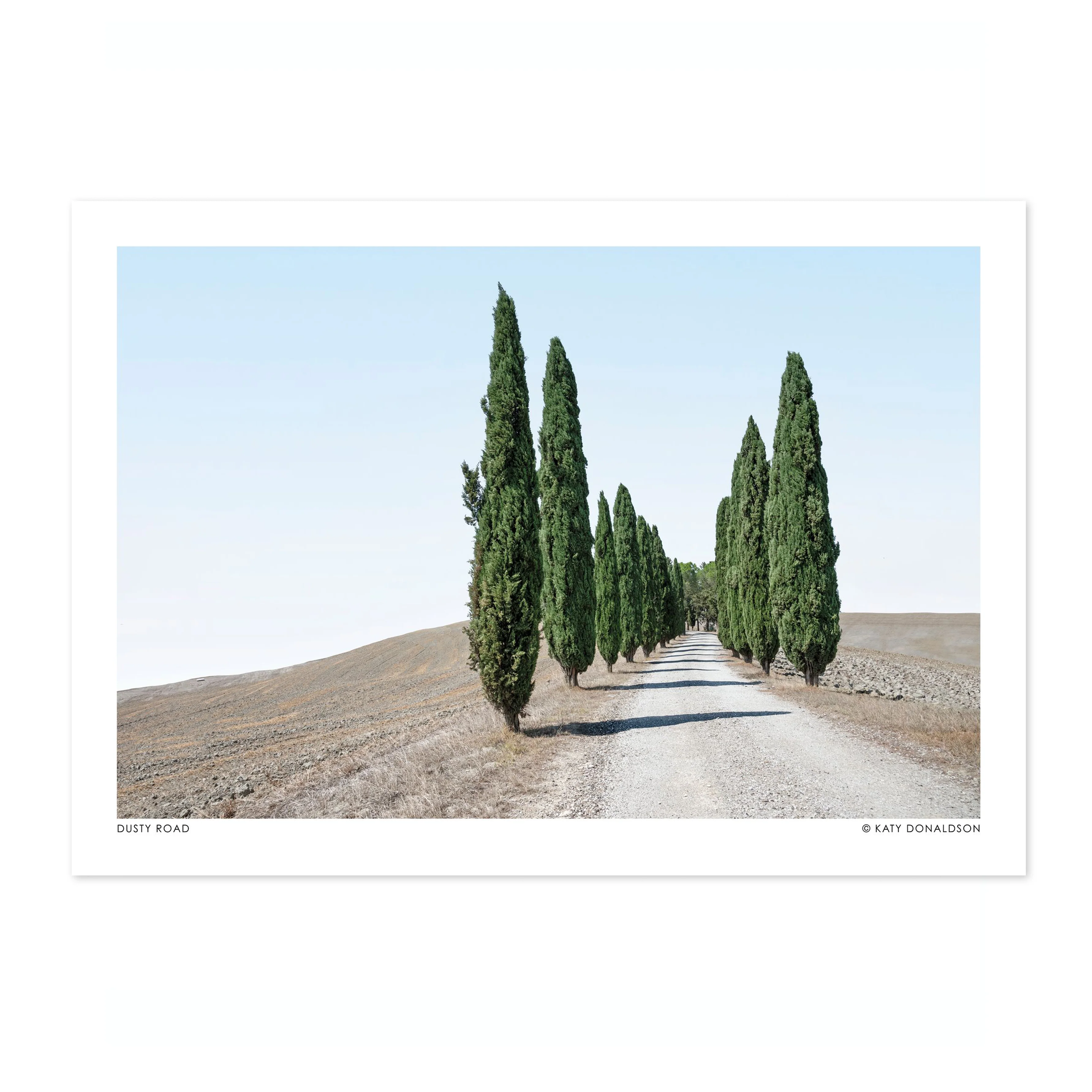Dusty Road Landscape - Image 4